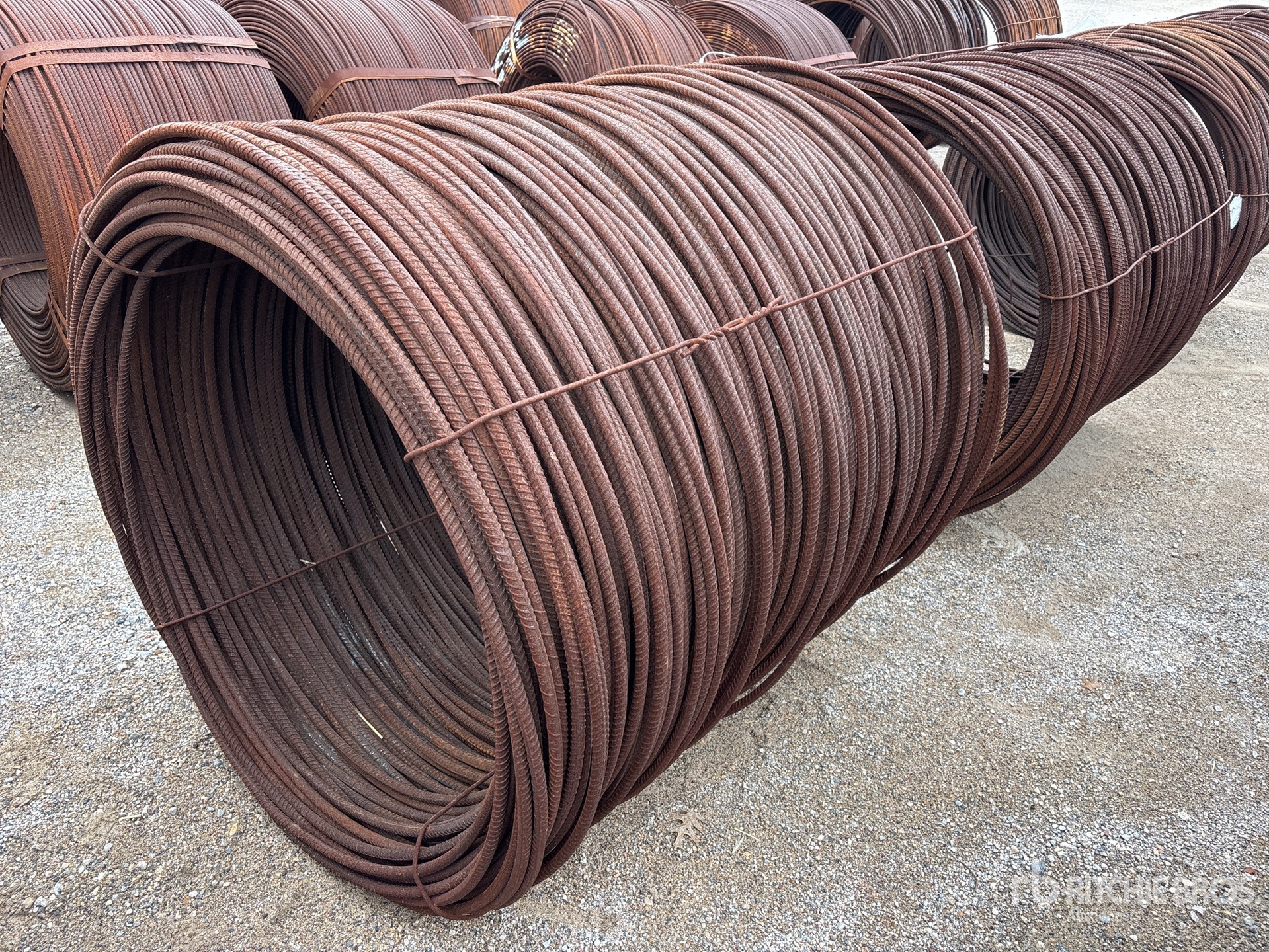 General Appearance with Image, coin arrière droit