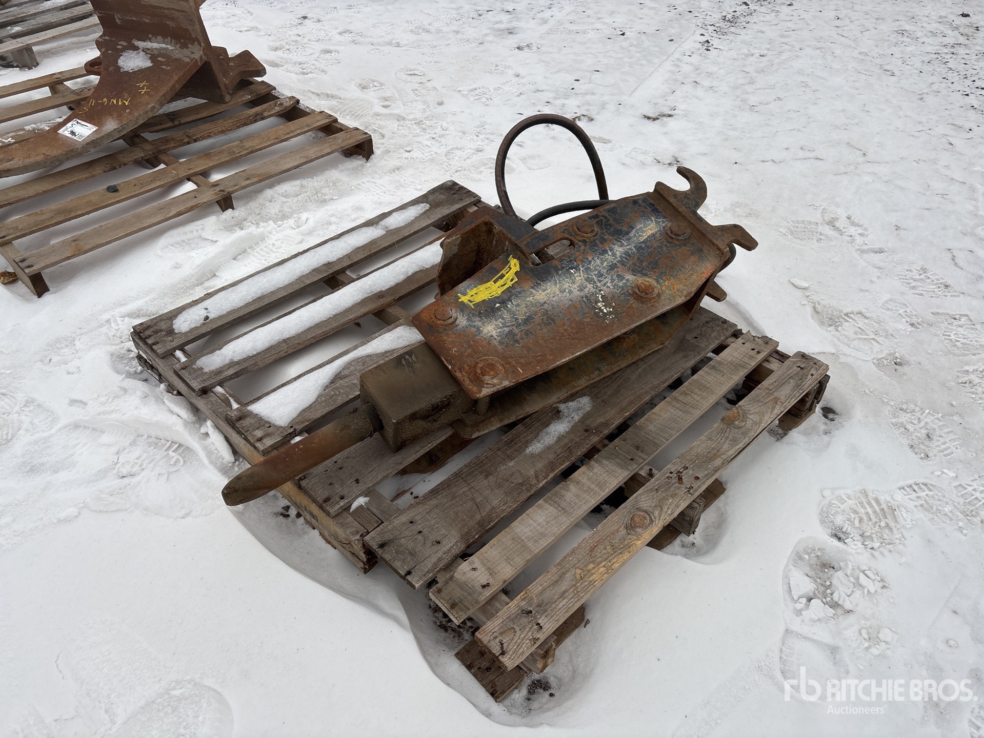 General Appearance with Bild, Ecke vorne links