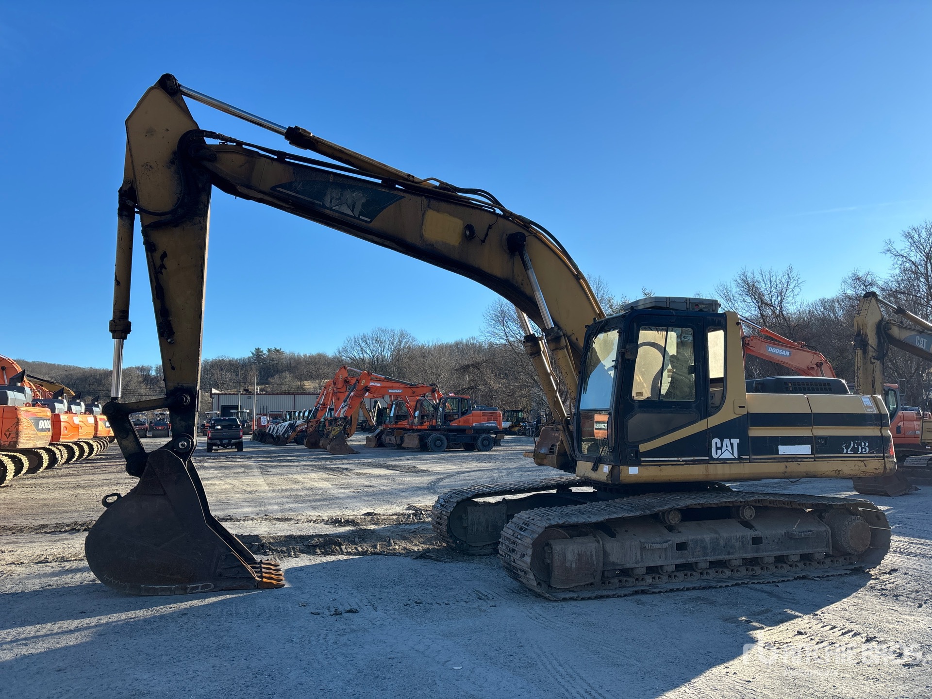 General Appearance with Spin