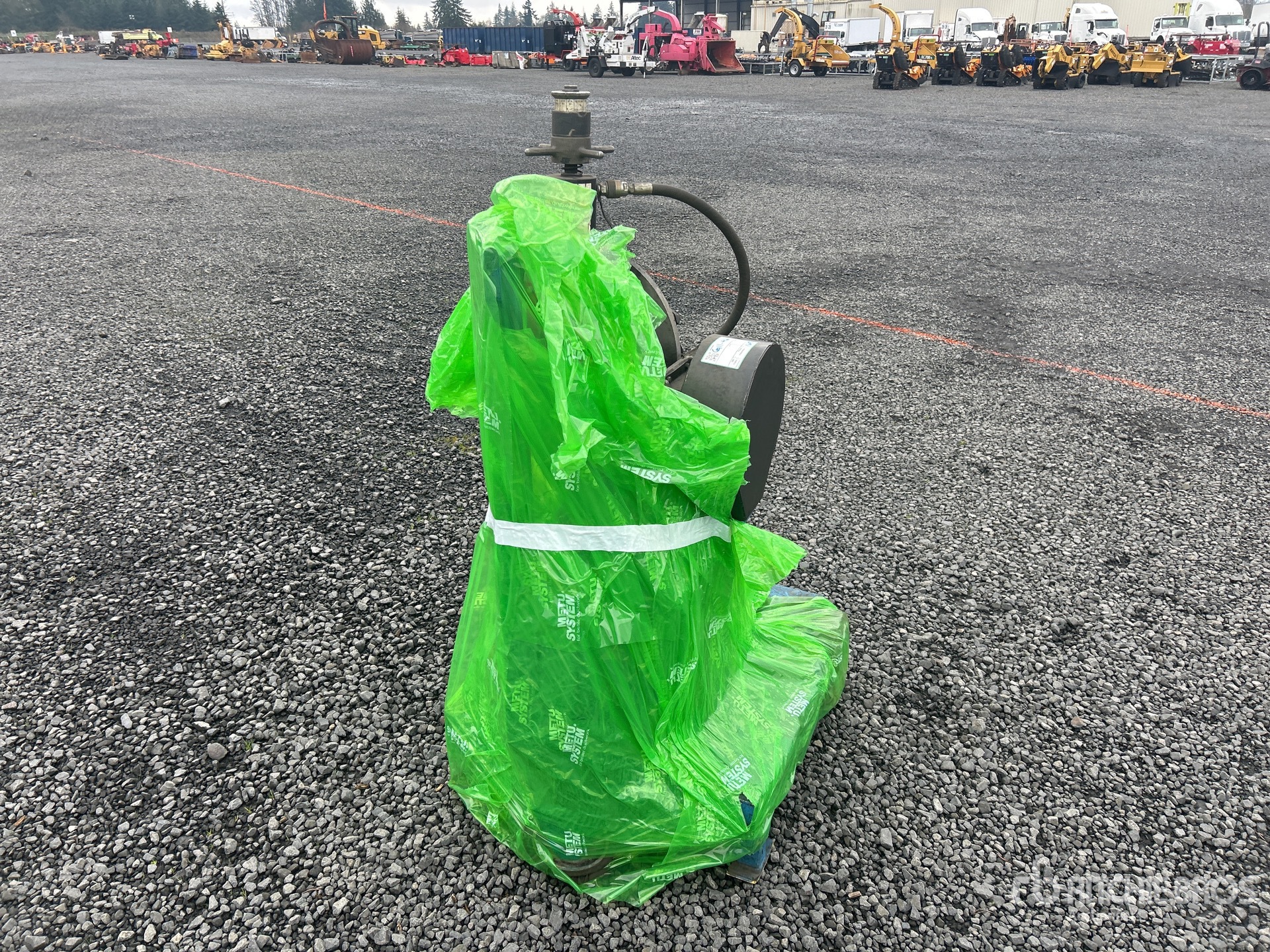 General Appearance with Zdjęcie, prawy górny róg