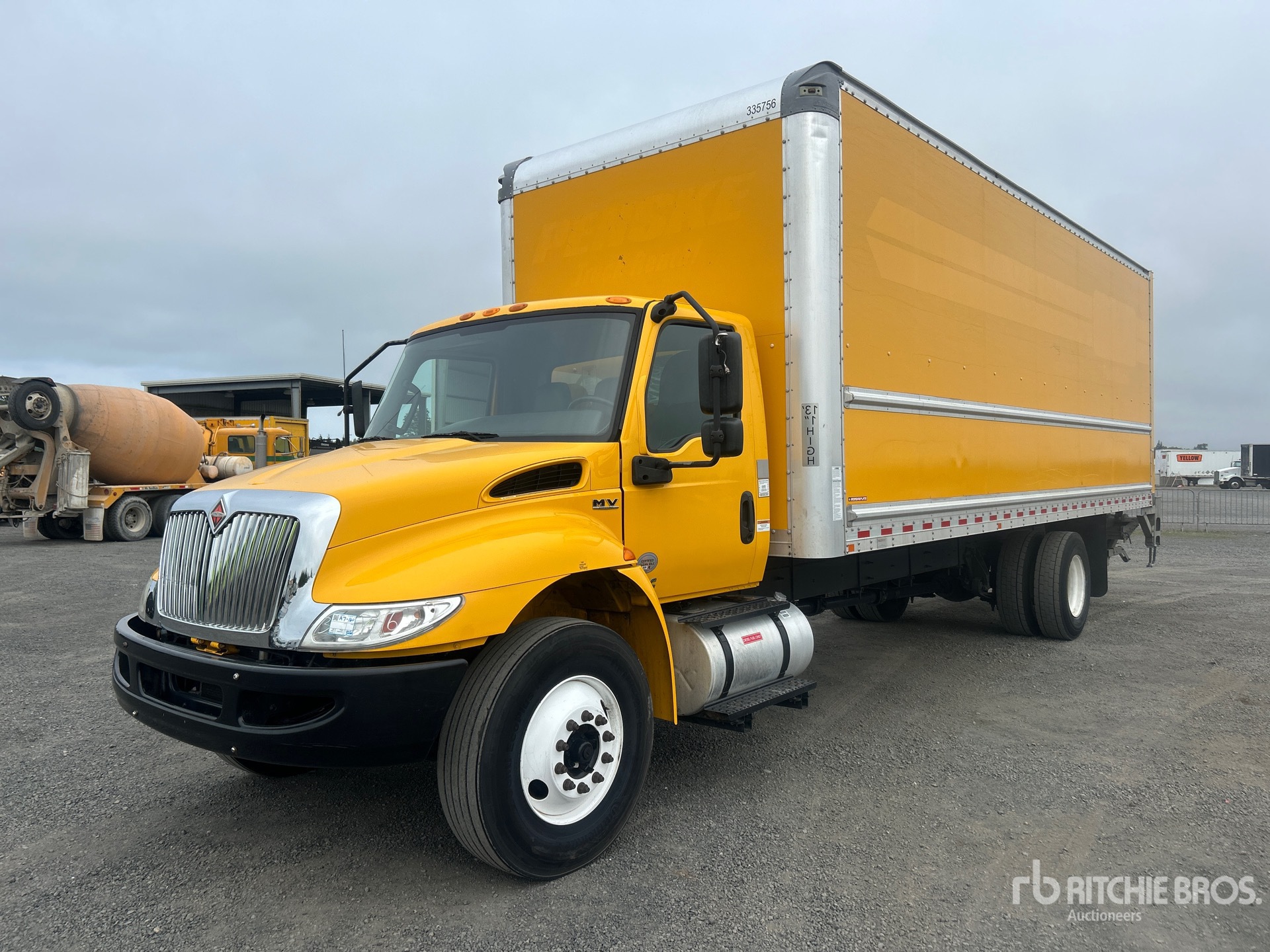 General Appearance with Spin