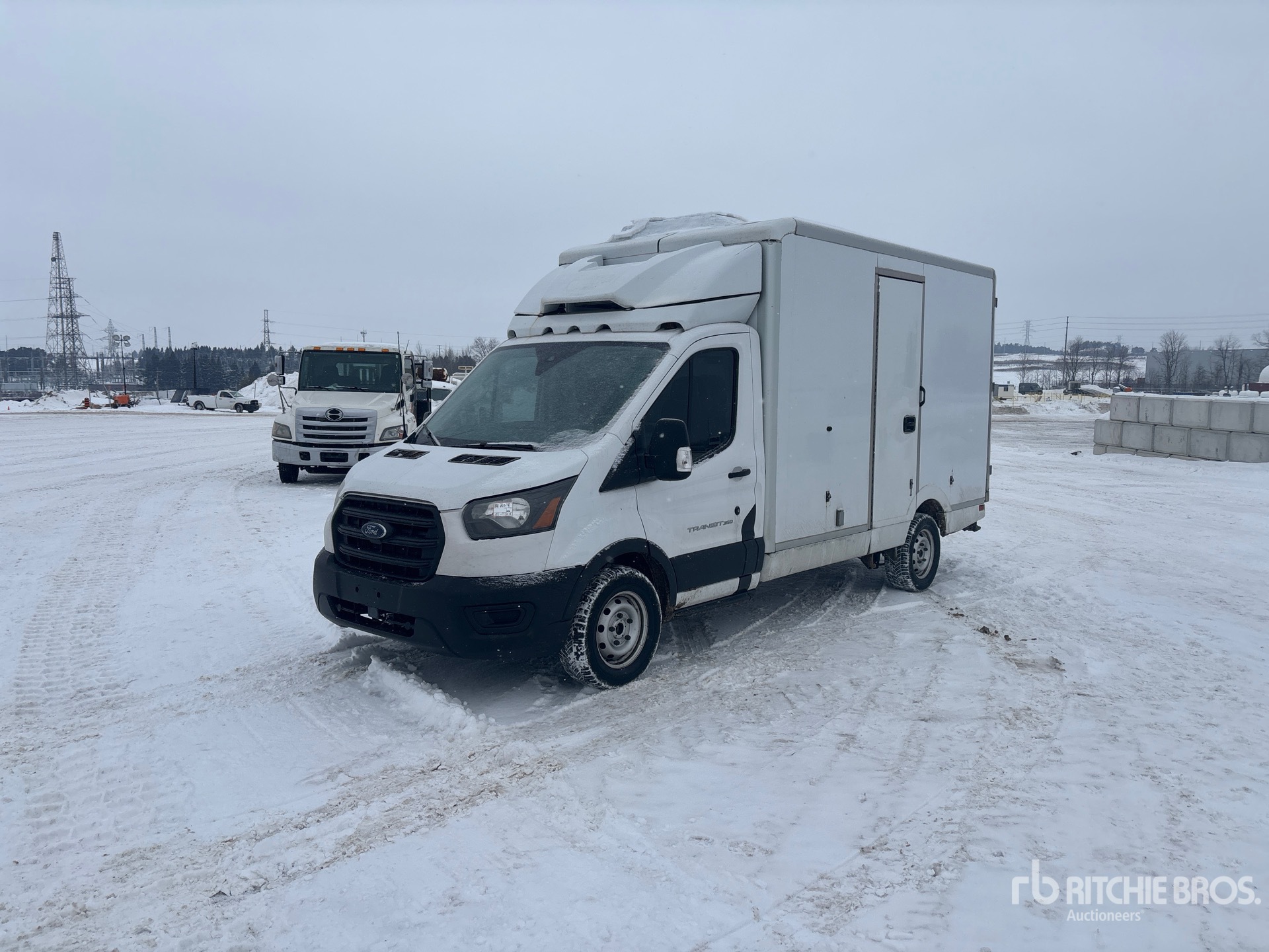 General Appearance with Spin