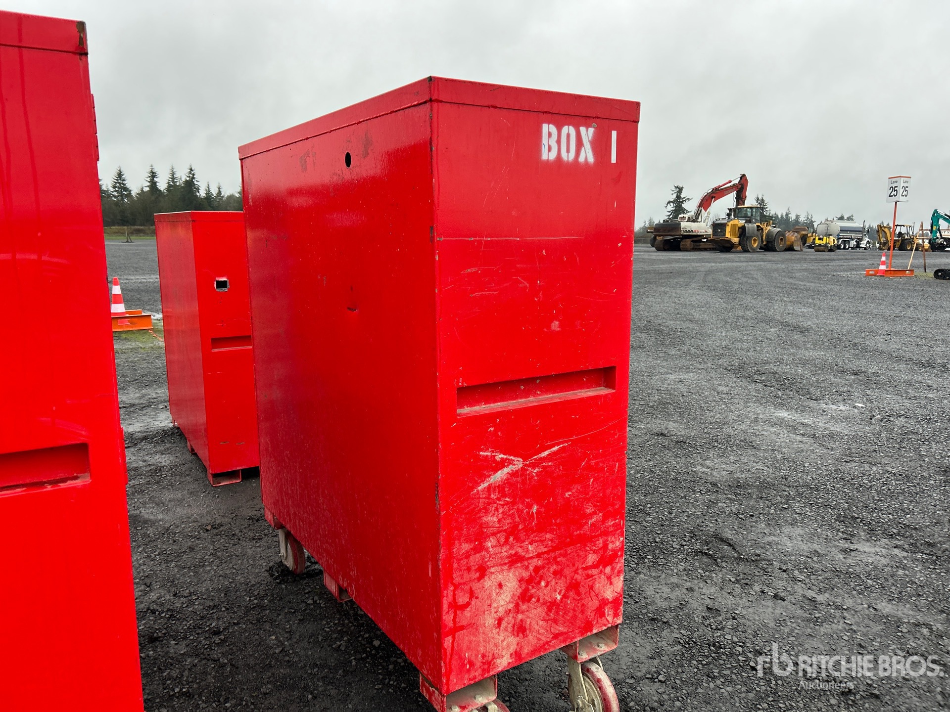 General Appearance with