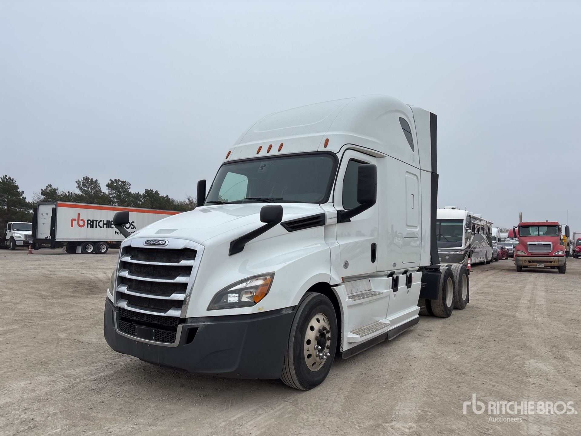 General Appearance with Spin