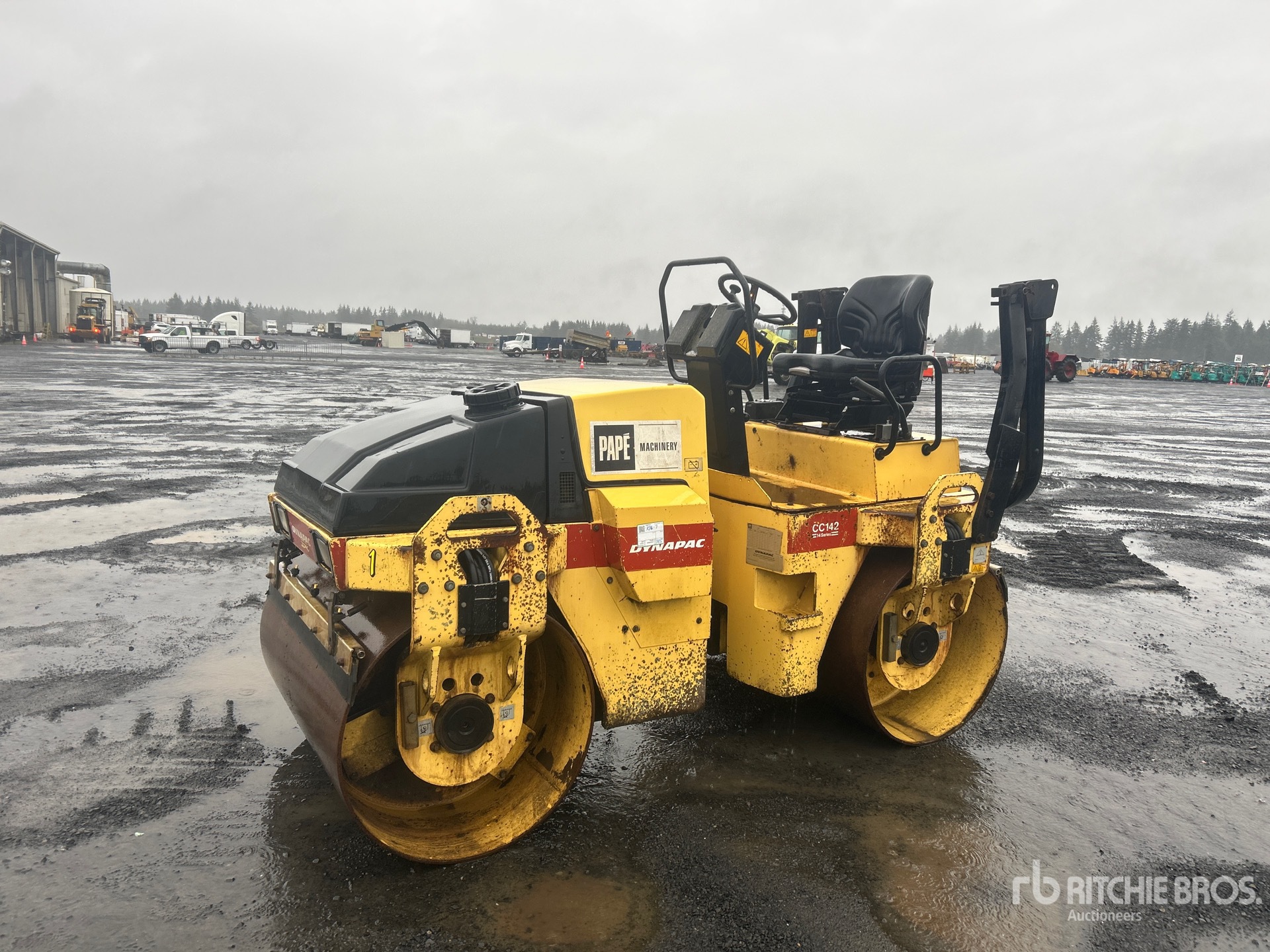 General Appearance with Spin