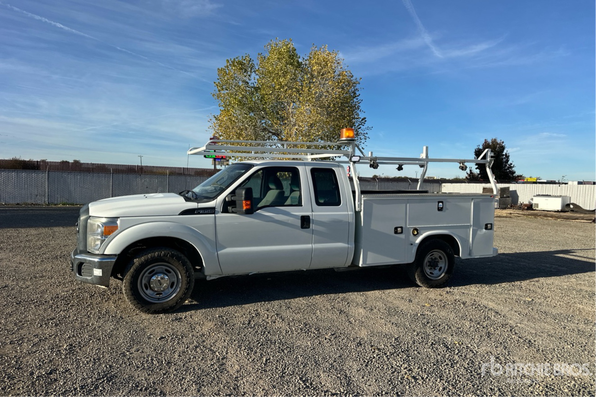 General Appearance with Spin