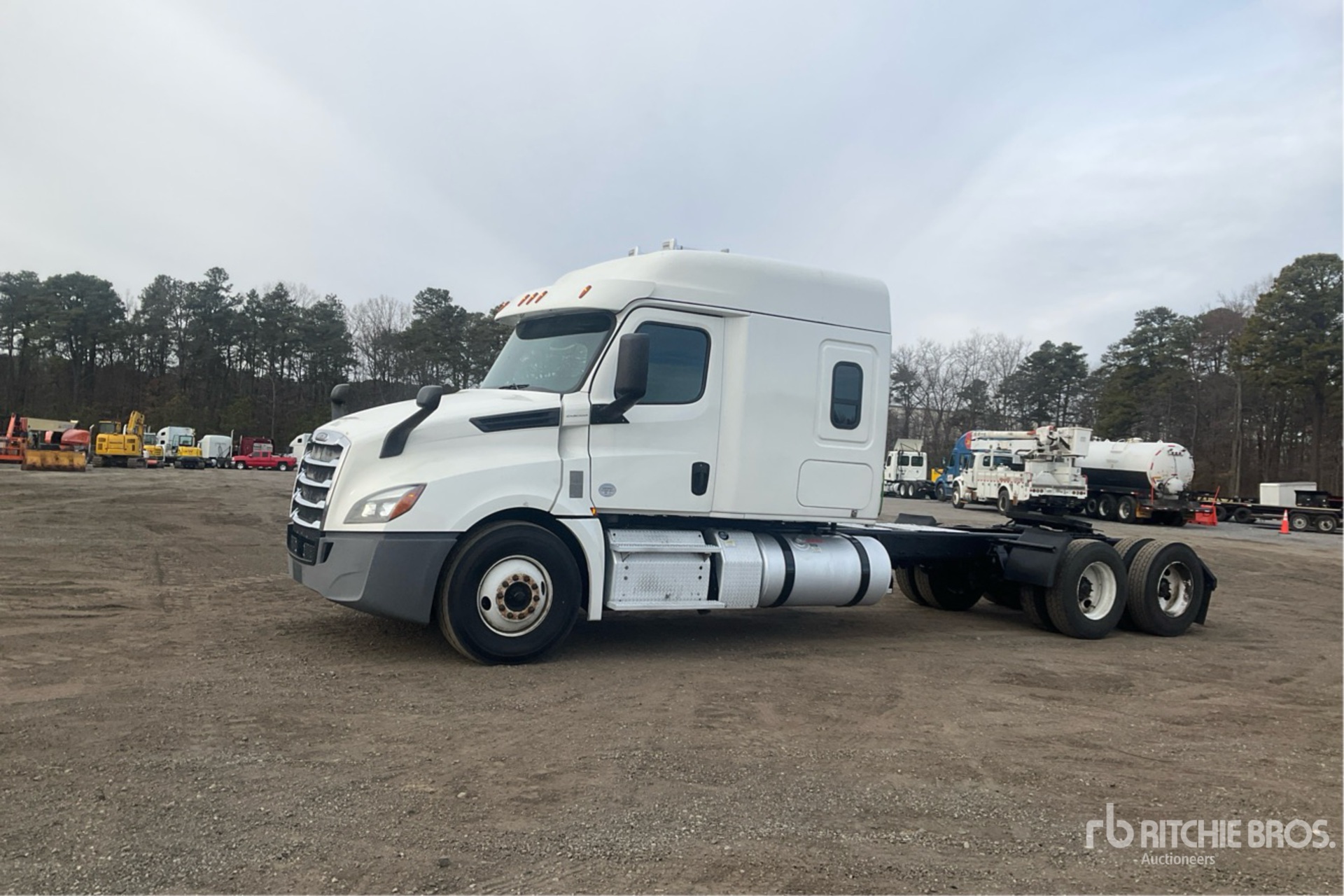 General Appearance with Spin