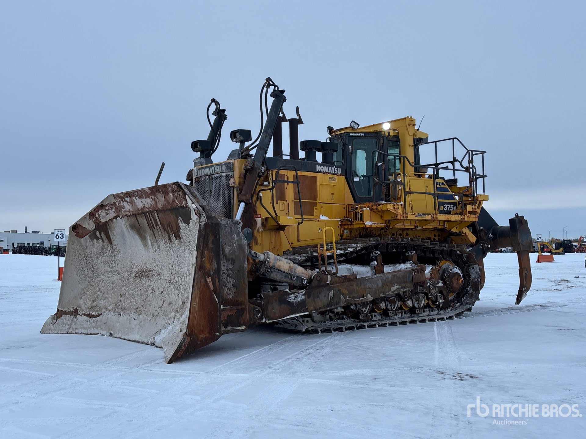 General Appearance with Spin