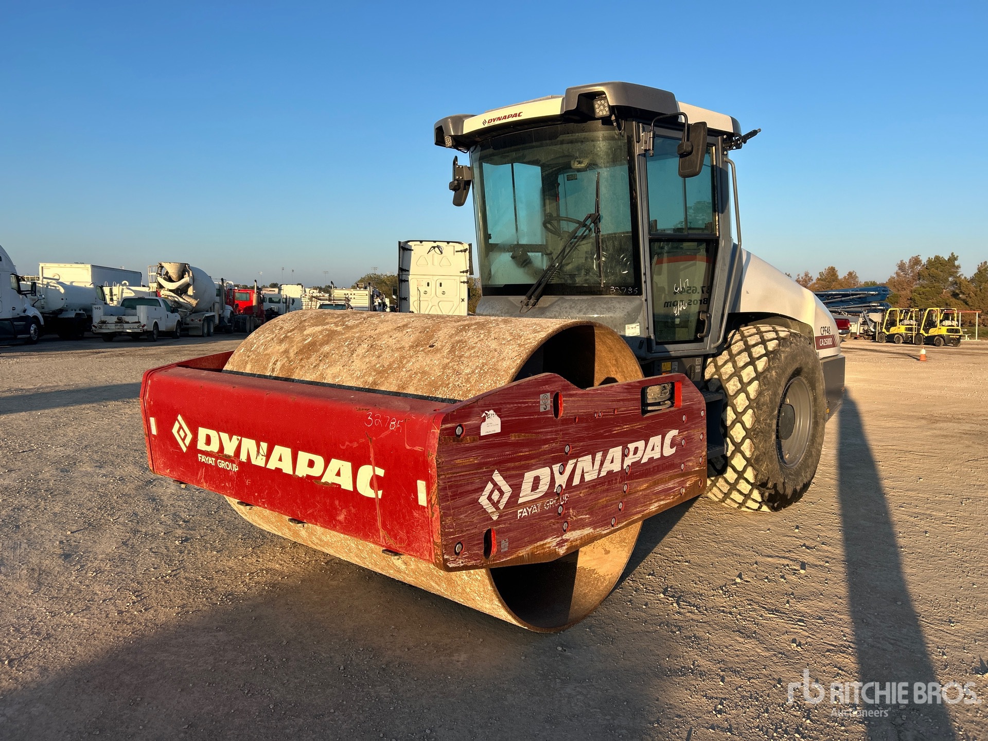 General Appearance with Spin