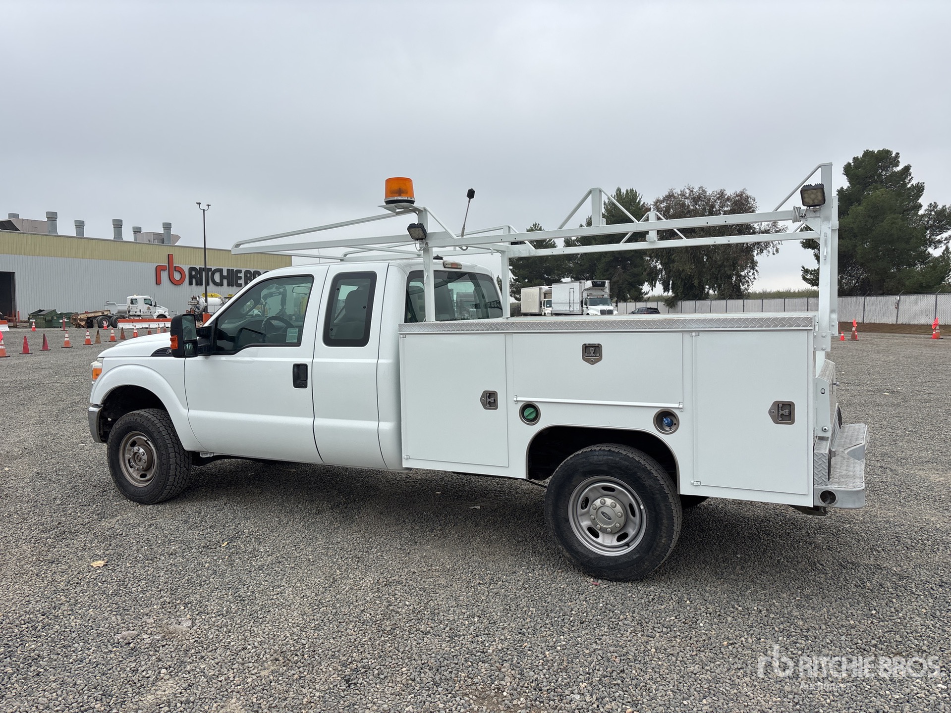 General Appearance with Image, coin arrière gauche