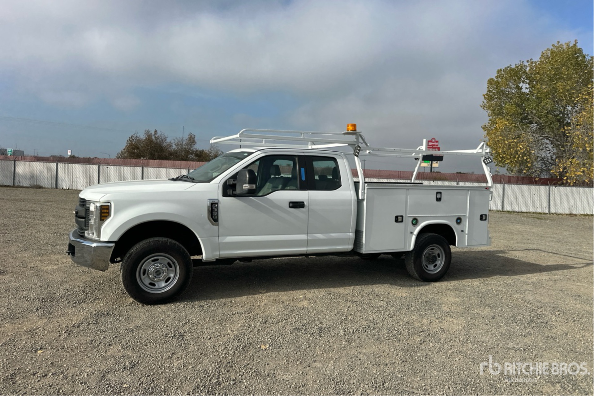 General Appearance with Spin