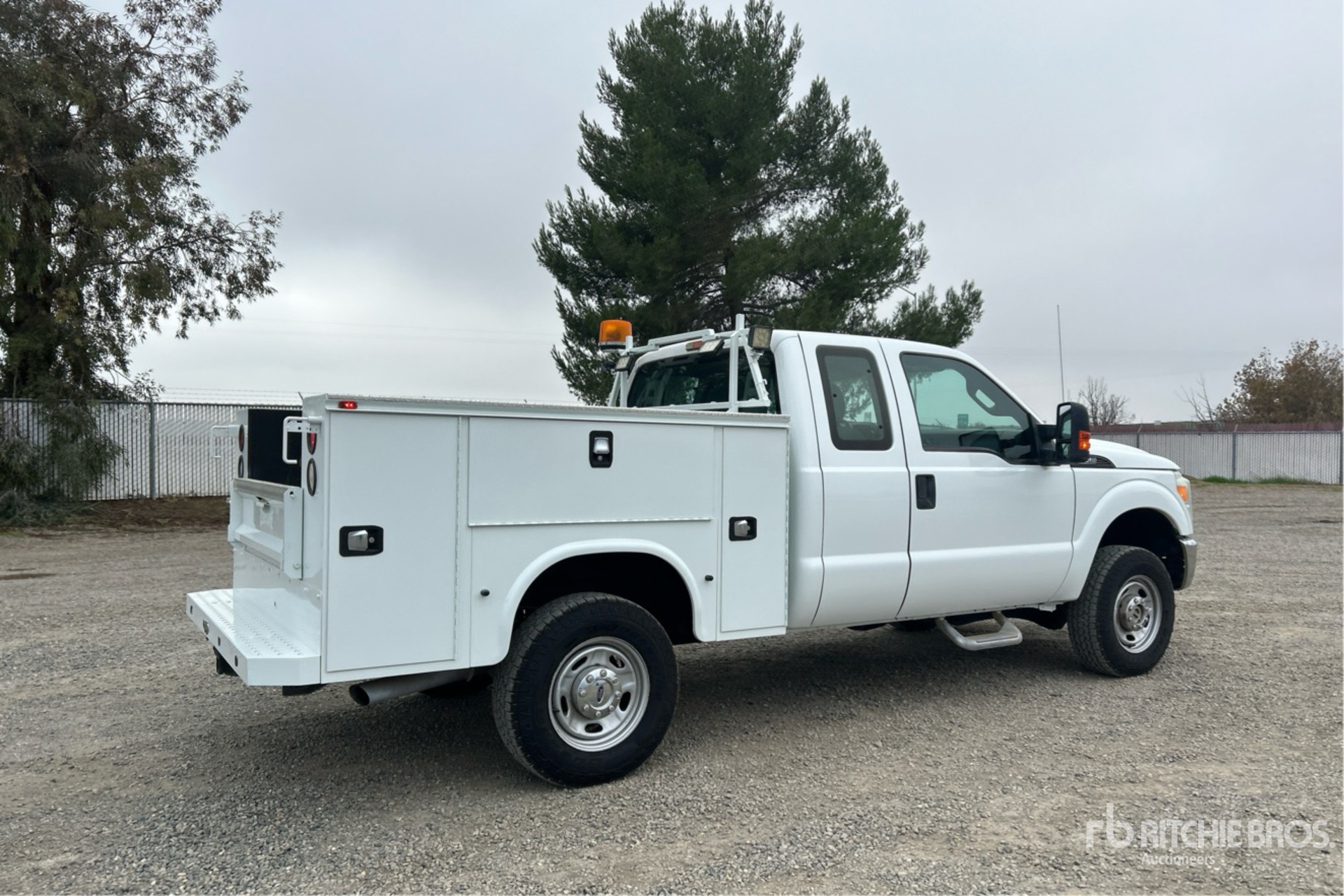 General Appearance with Image, coin arrière droit