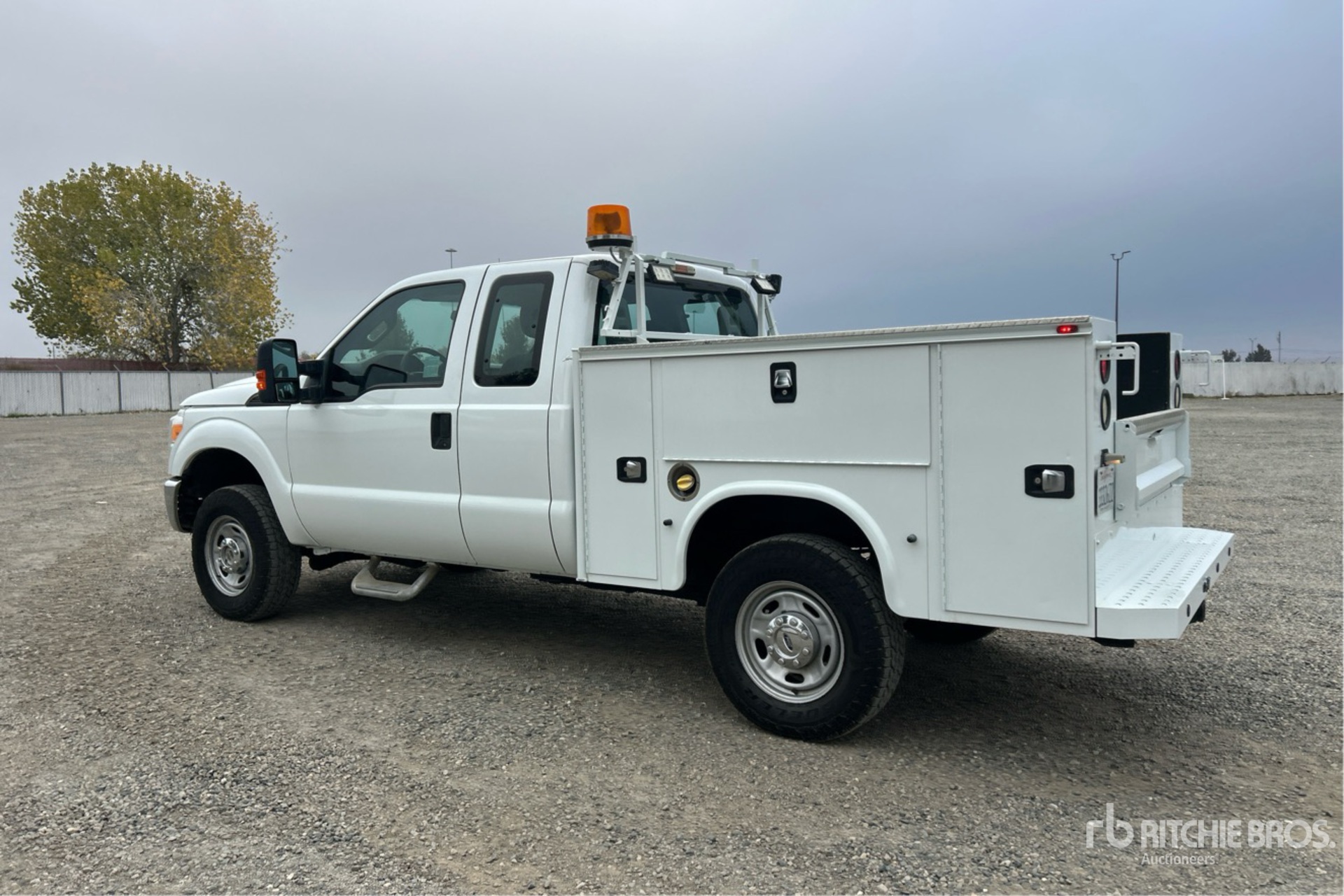 General Appearance with Image, coin arrière gauche