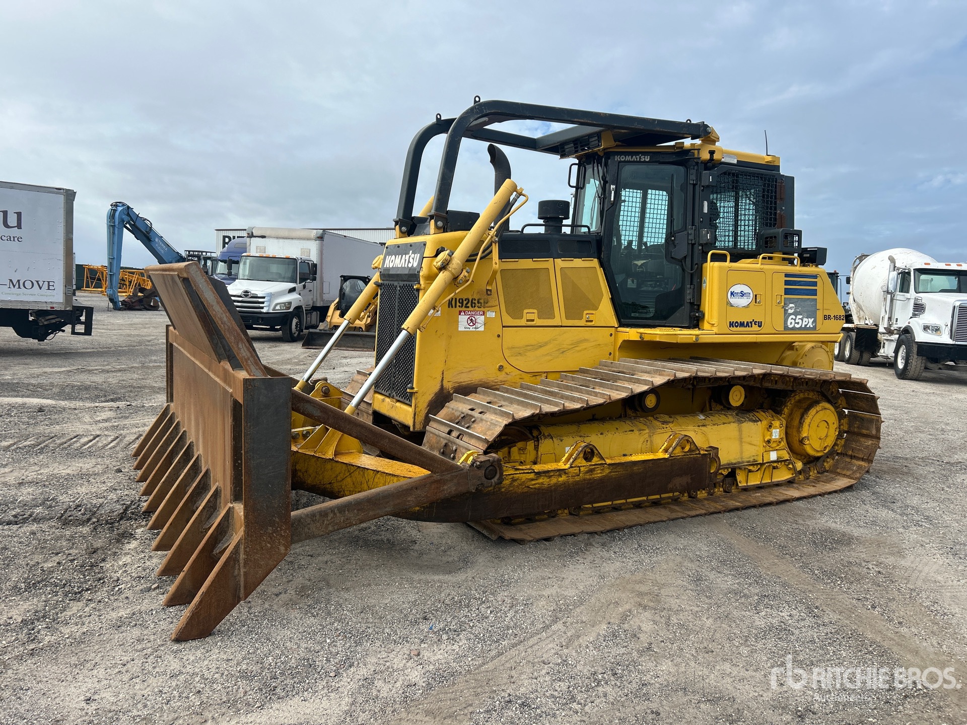 General Appearance with Spin