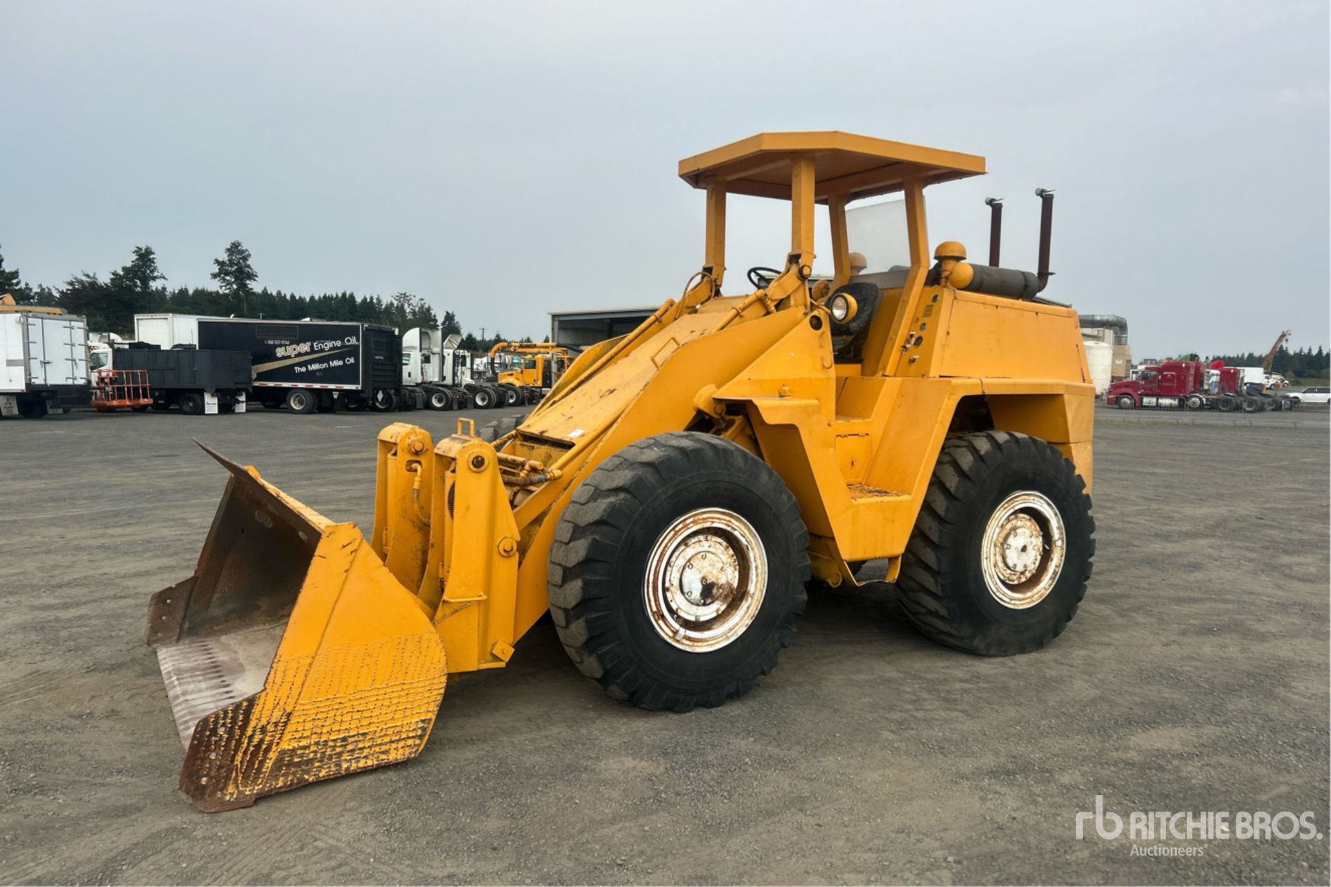 General Appearance with Spin