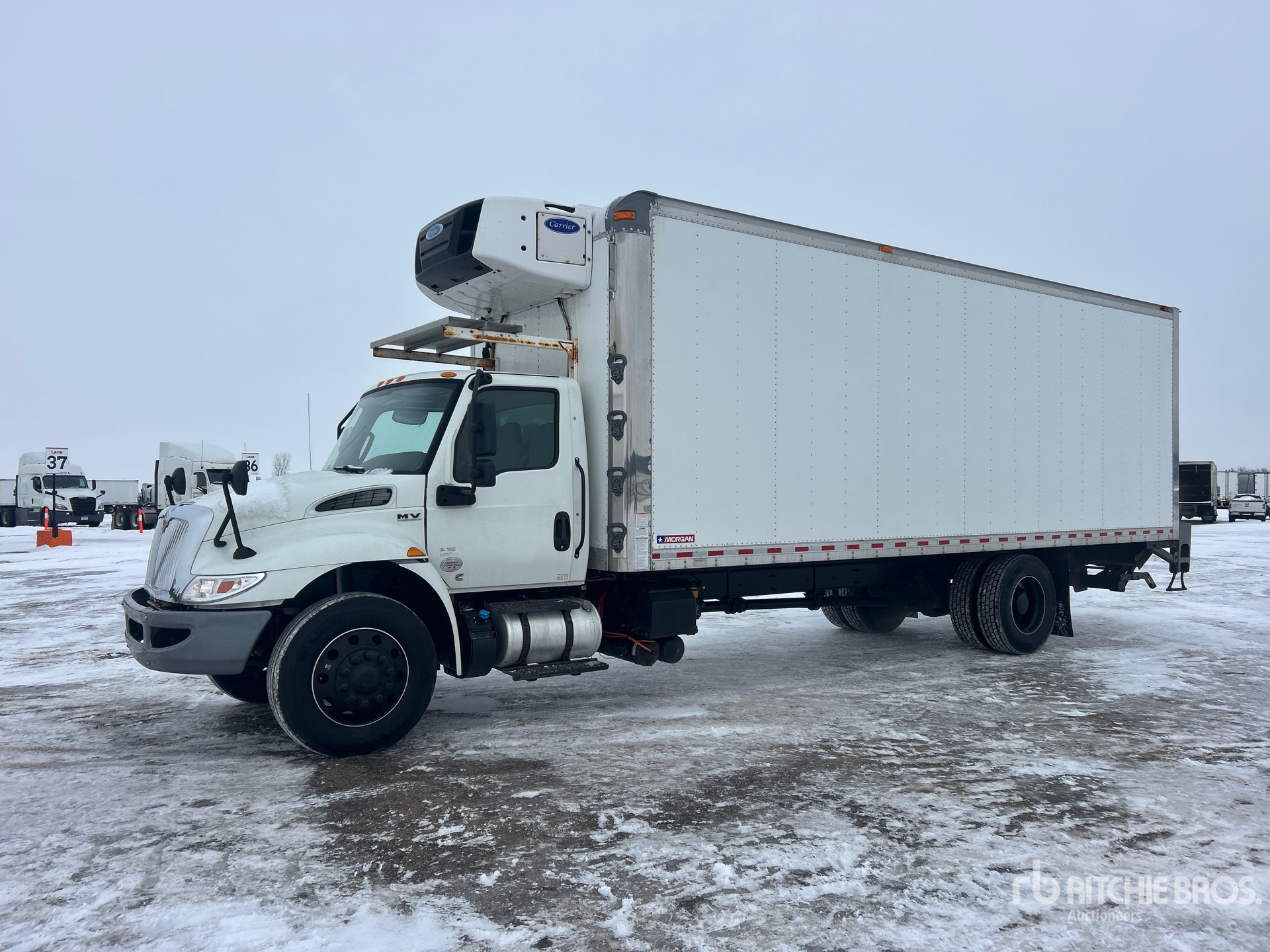 General Appearance with Spin