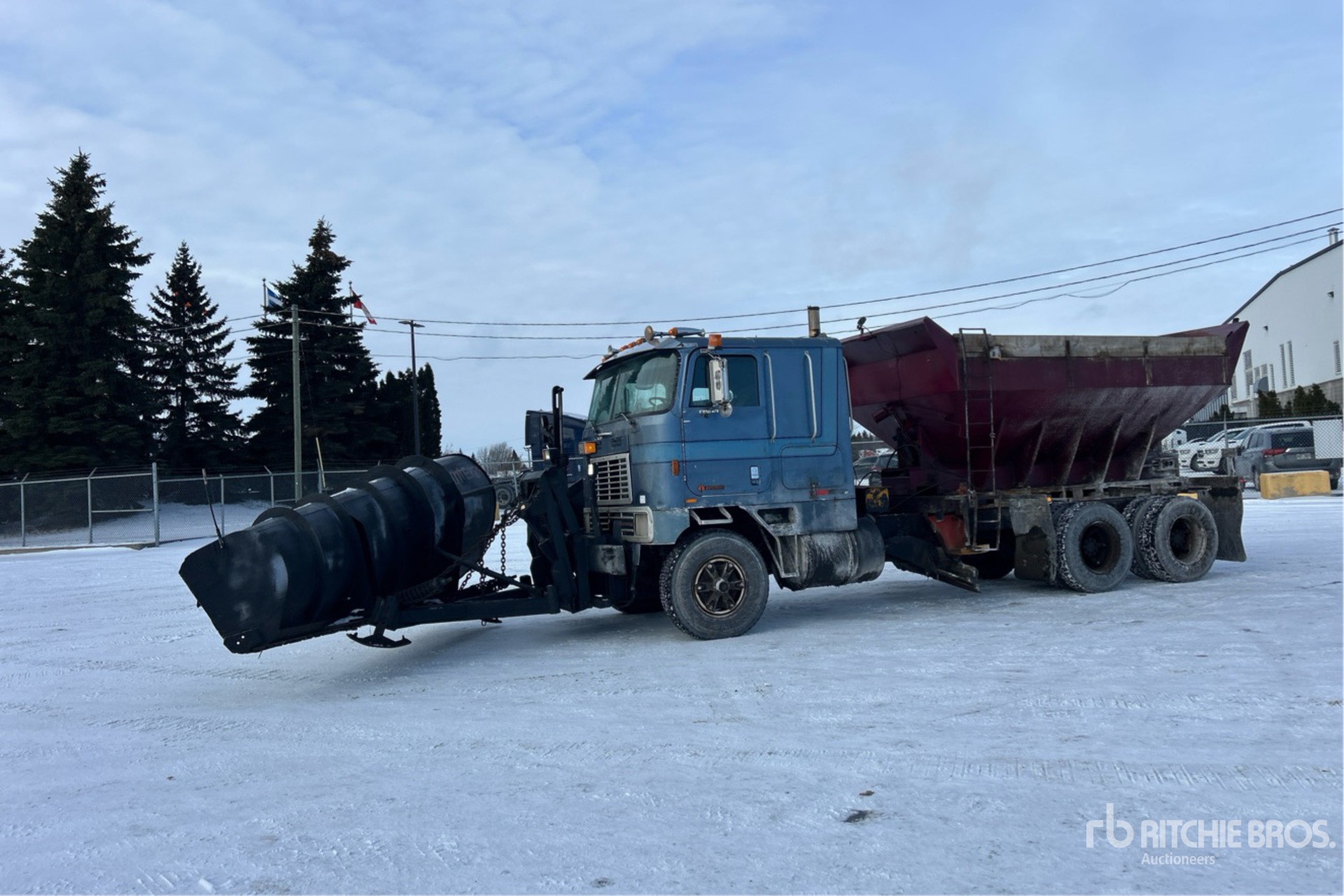 General Appearance with Spin