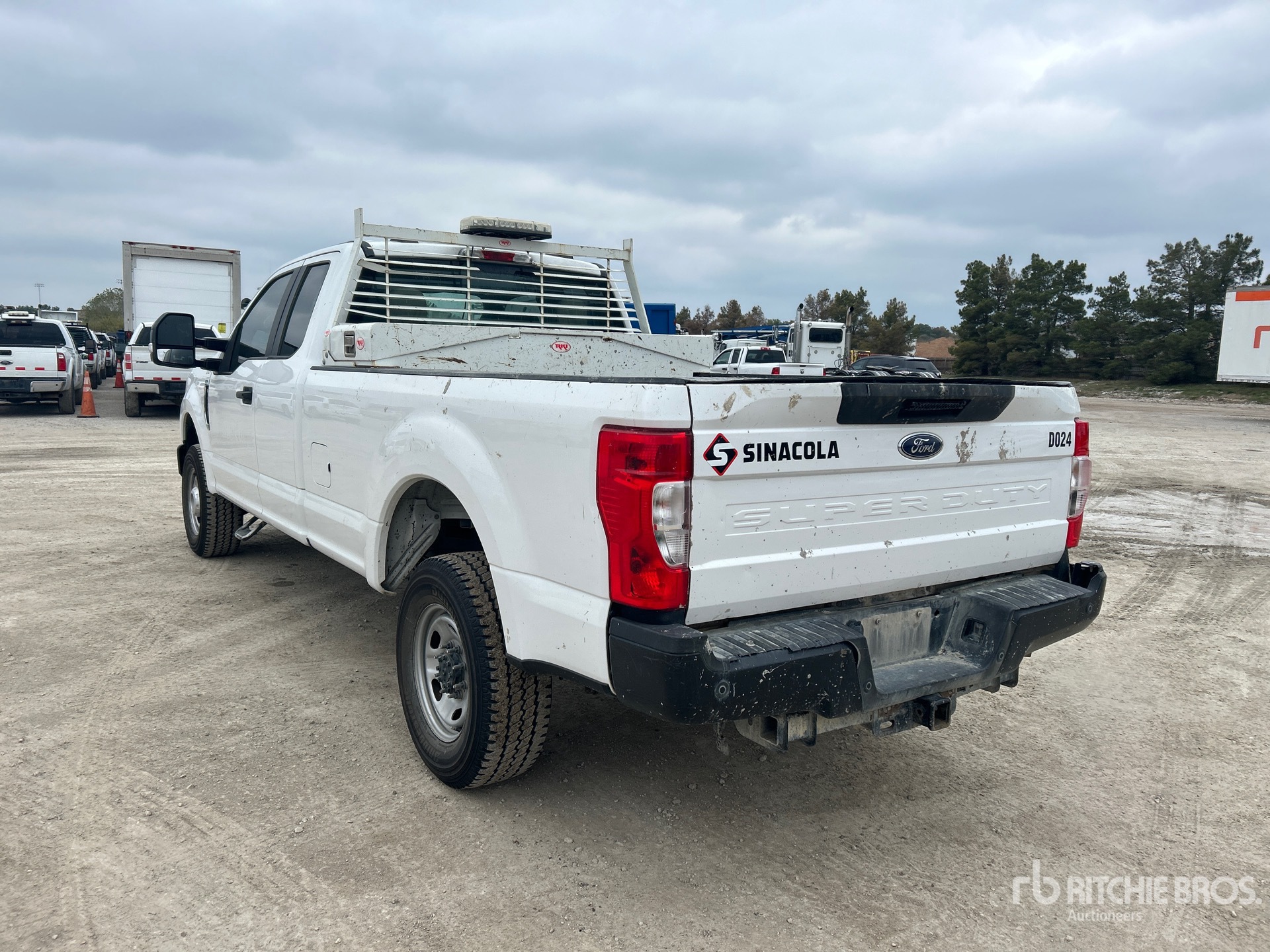 General Appearance with Spin