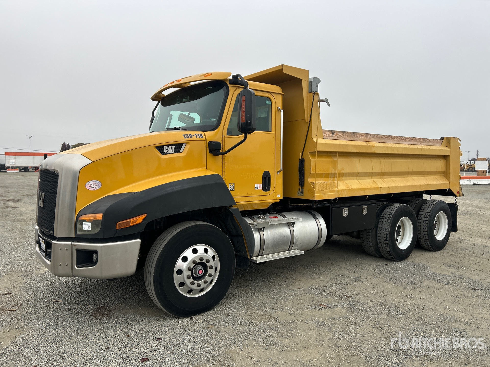 General Appearance with Spin