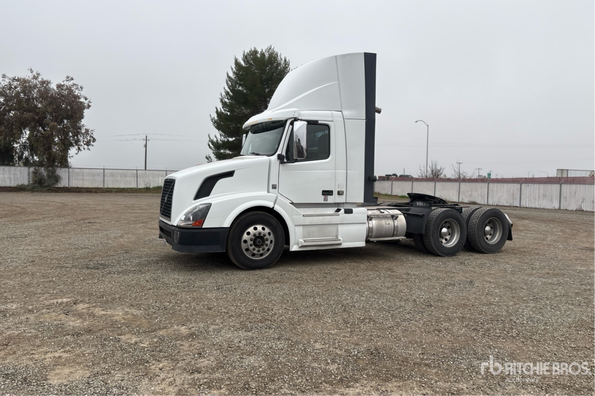 General Appearance with Spin