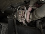 Engine with Exhaust System