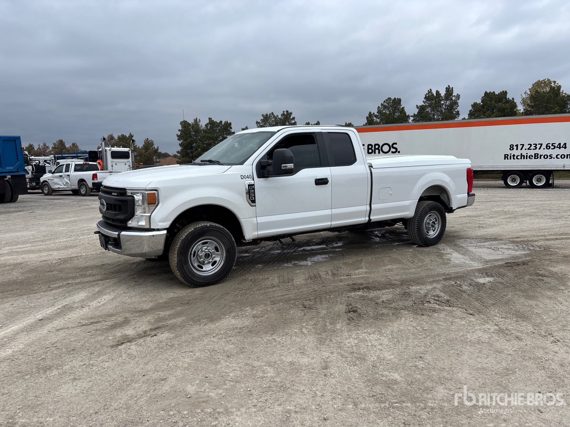 General Appearance with Spin