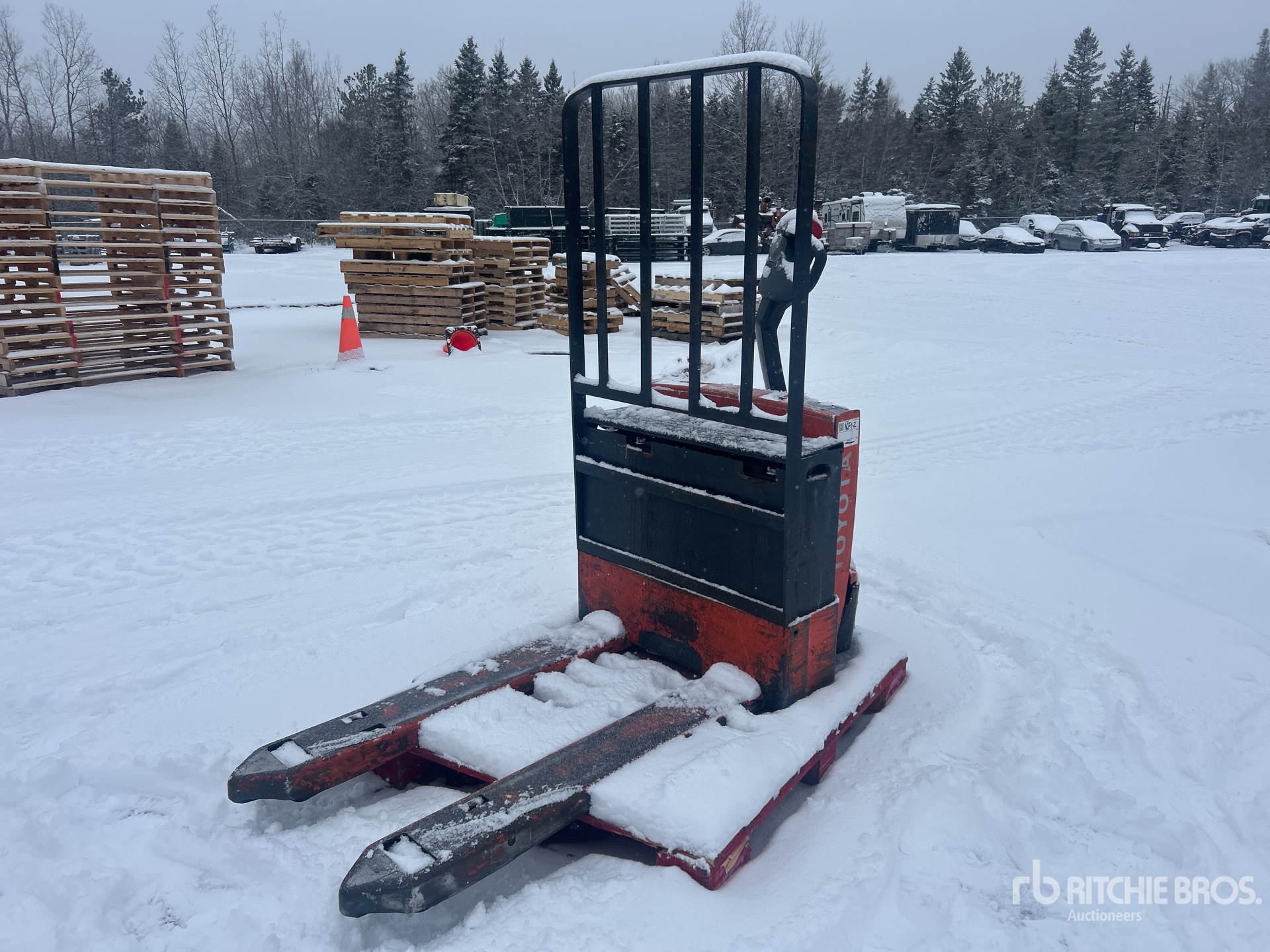 General Appearance with Zdjęcie, prawy dolny róg