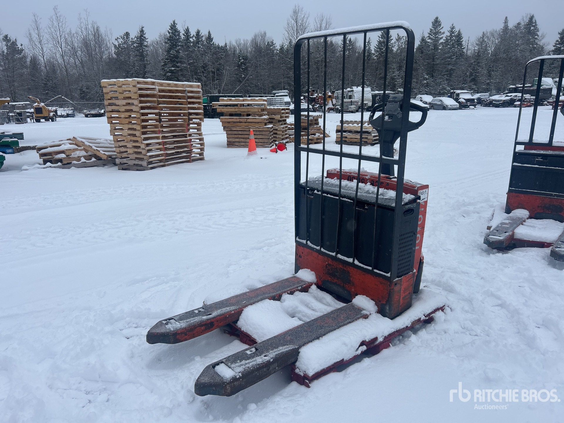 General Appearance with Zdjęcie, prawy dolny róg