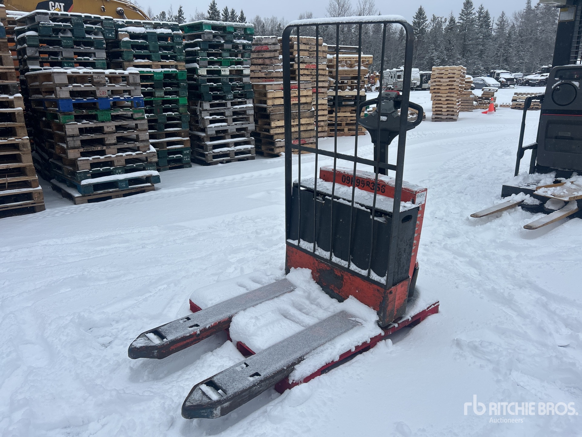 General Appearance with Zdjęcie, prawy dolny róg