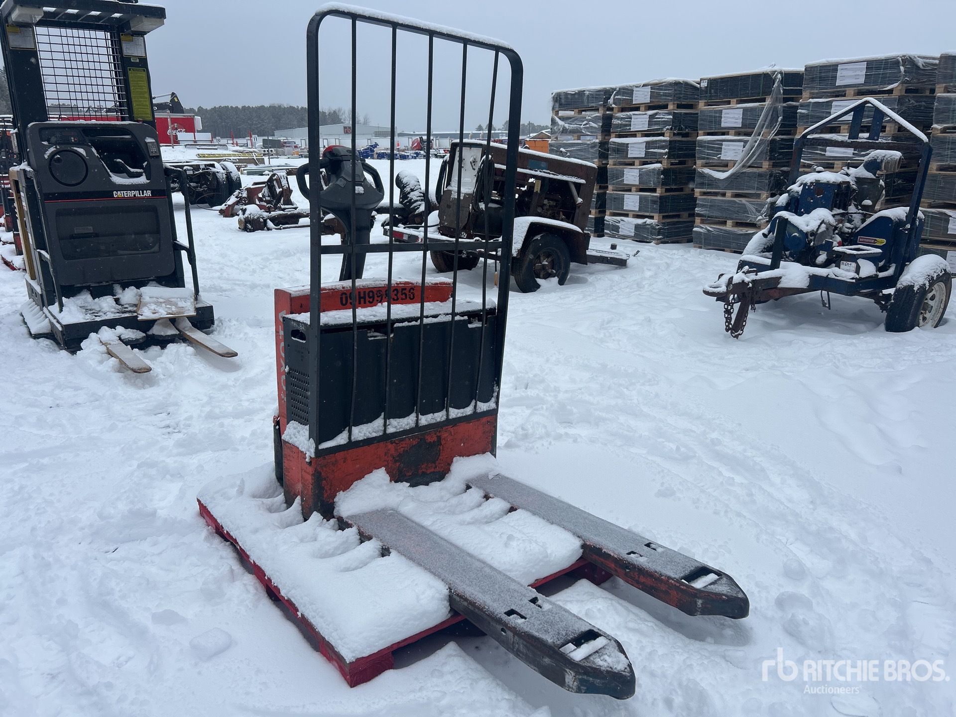 General Appearance with Zdjęcie, lewy dolny róg