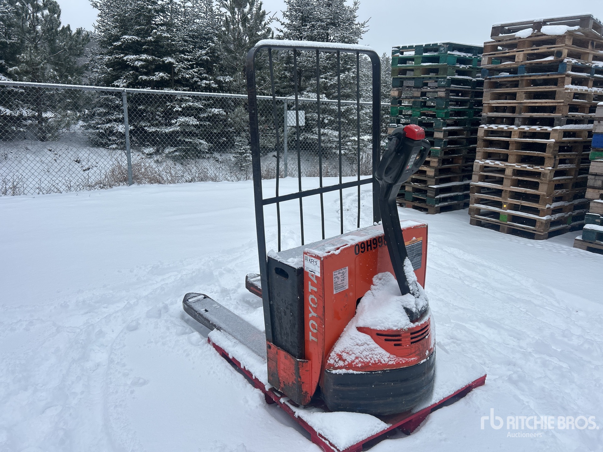 General Appearance with Zdjęcie, prawy górny róg