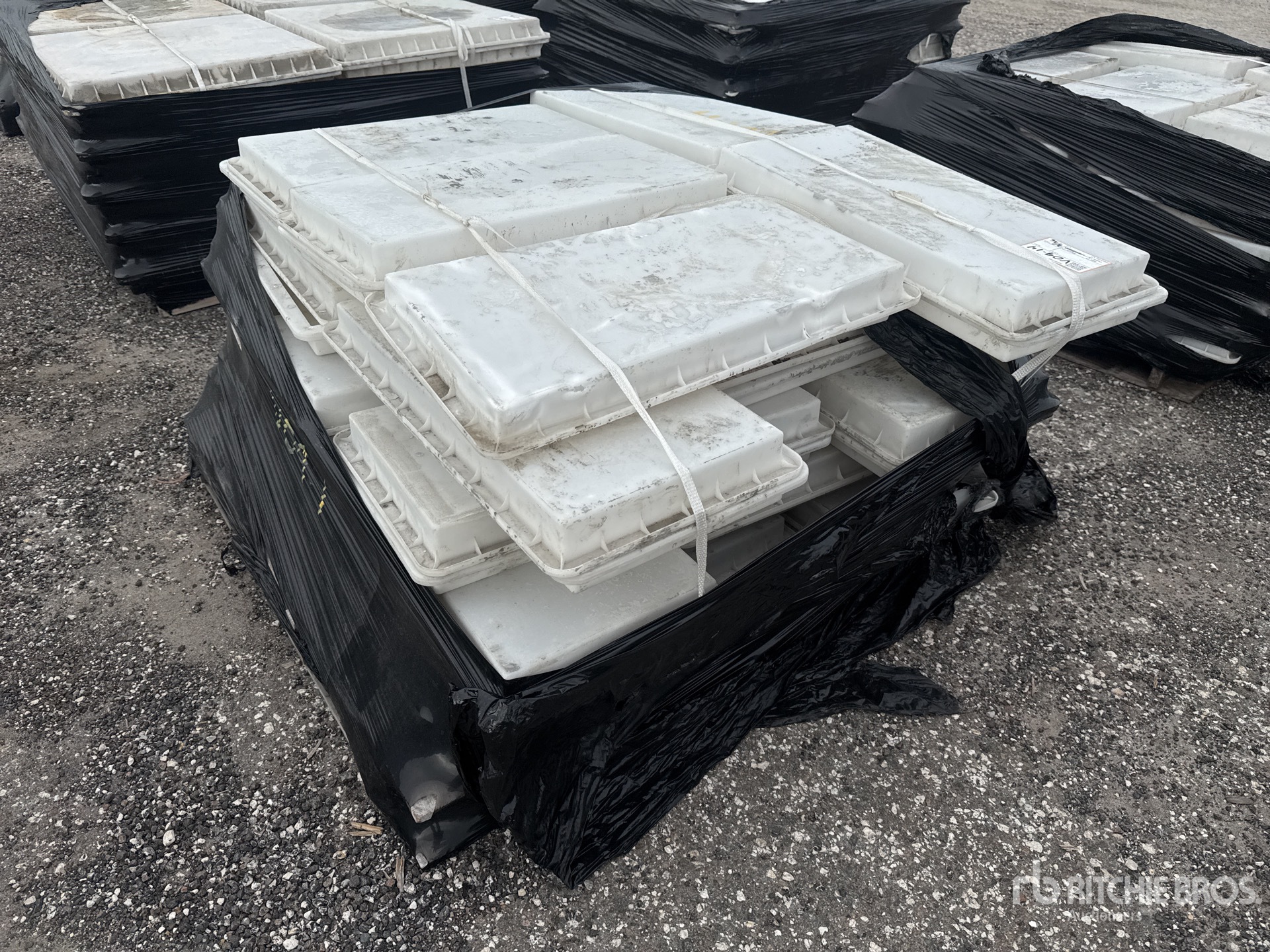 General Appearance with Zdjęcie, prawy dolny róg