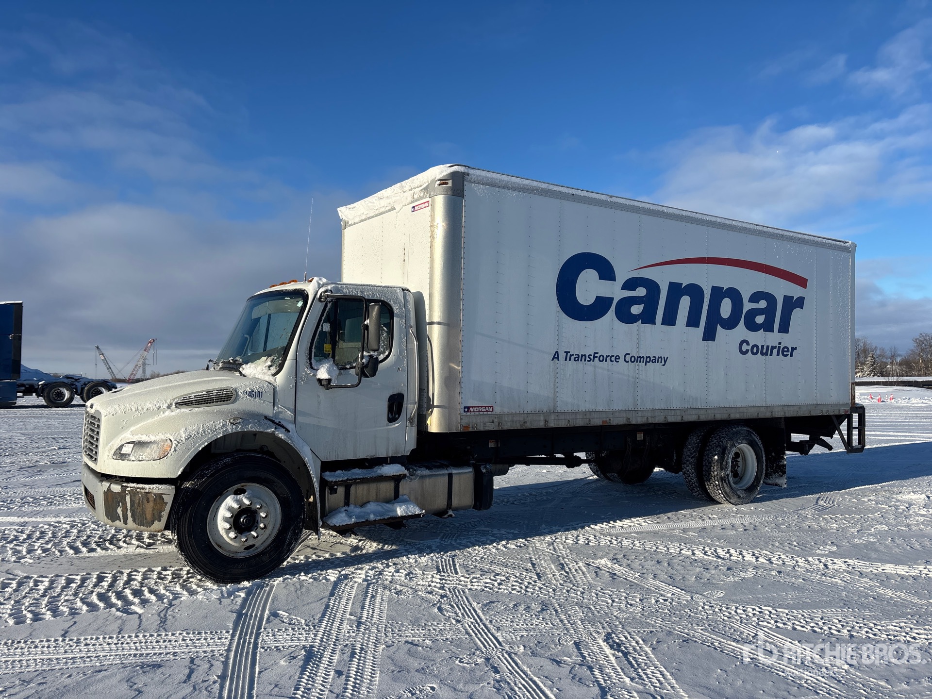 General Appearance with Spin