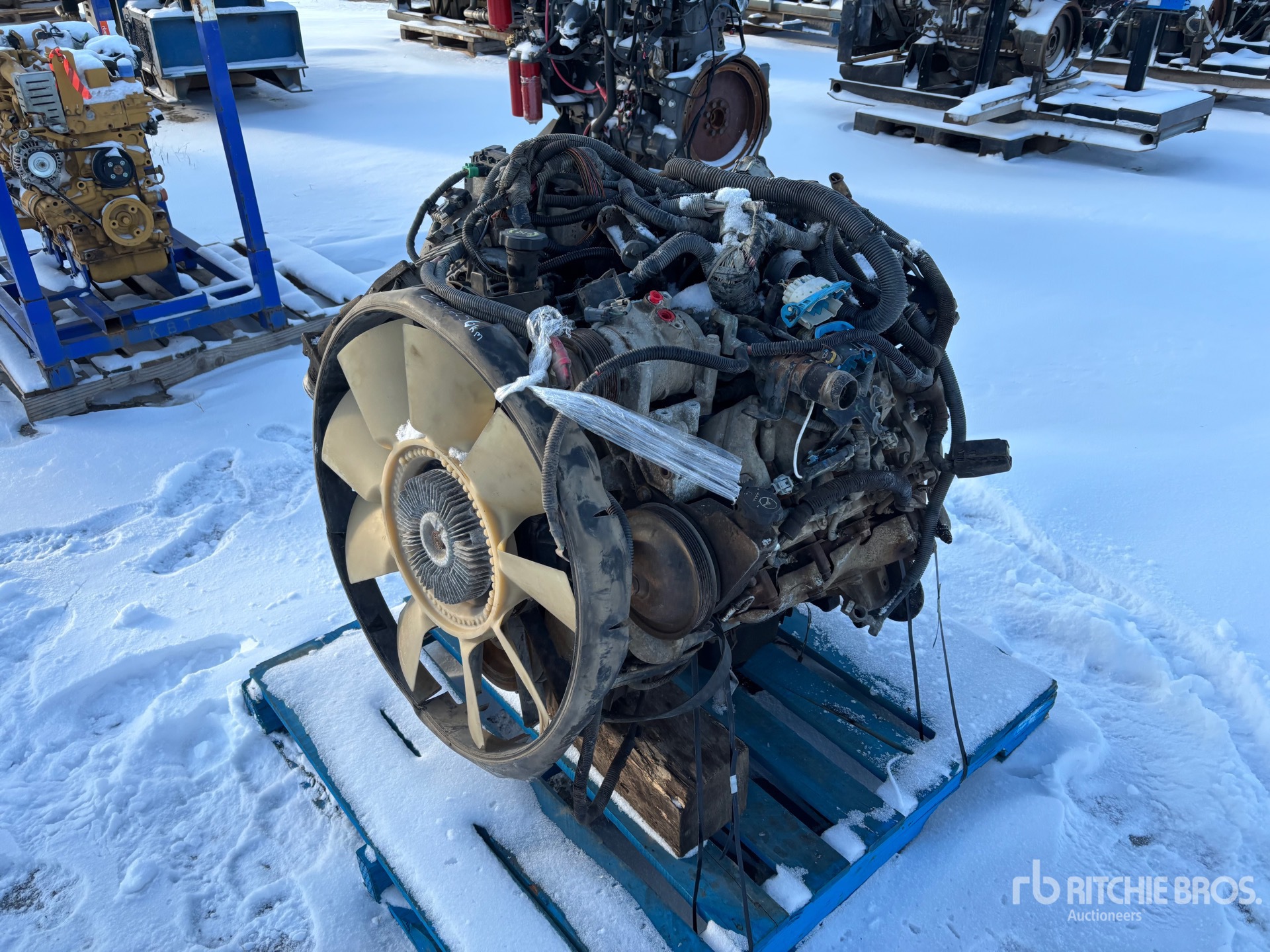 General Appearance with Bild, Ecke vorne links