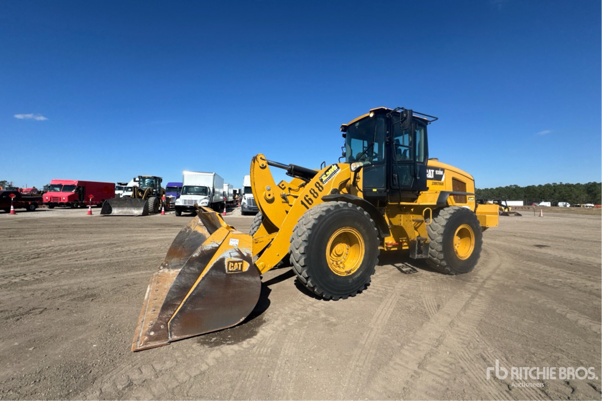 General Appearance with Spin