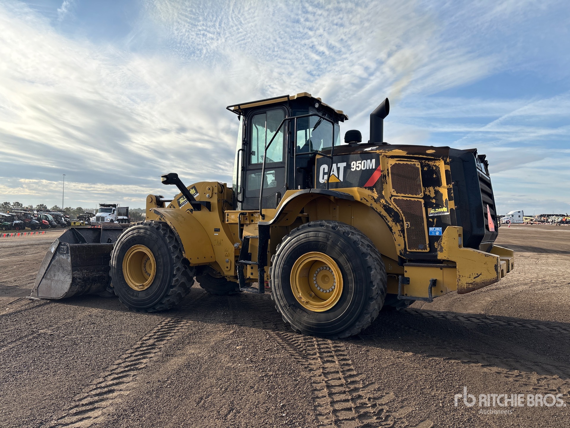 General Appearance with Image, coin arrière gauche