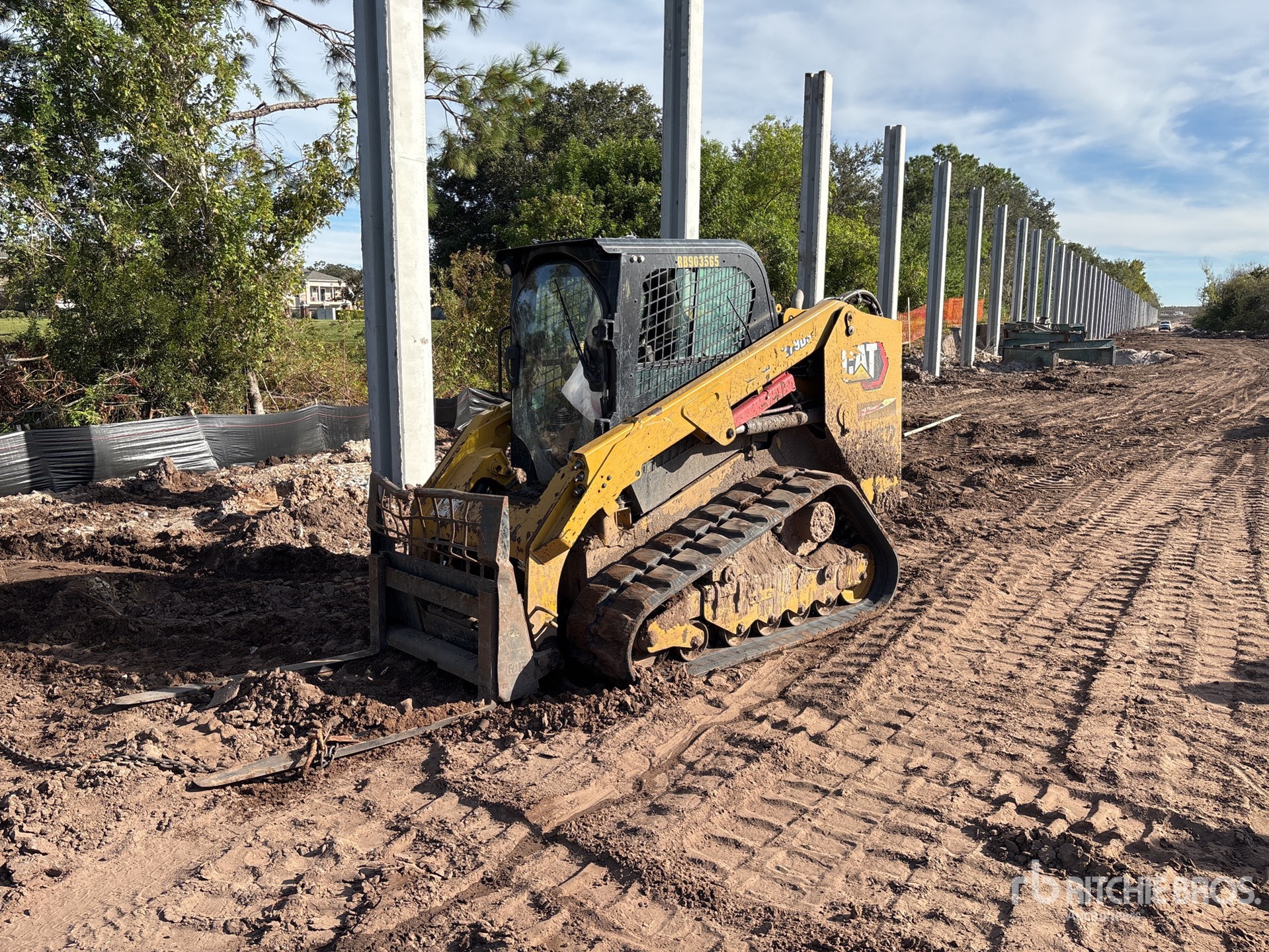 General Appearance with 