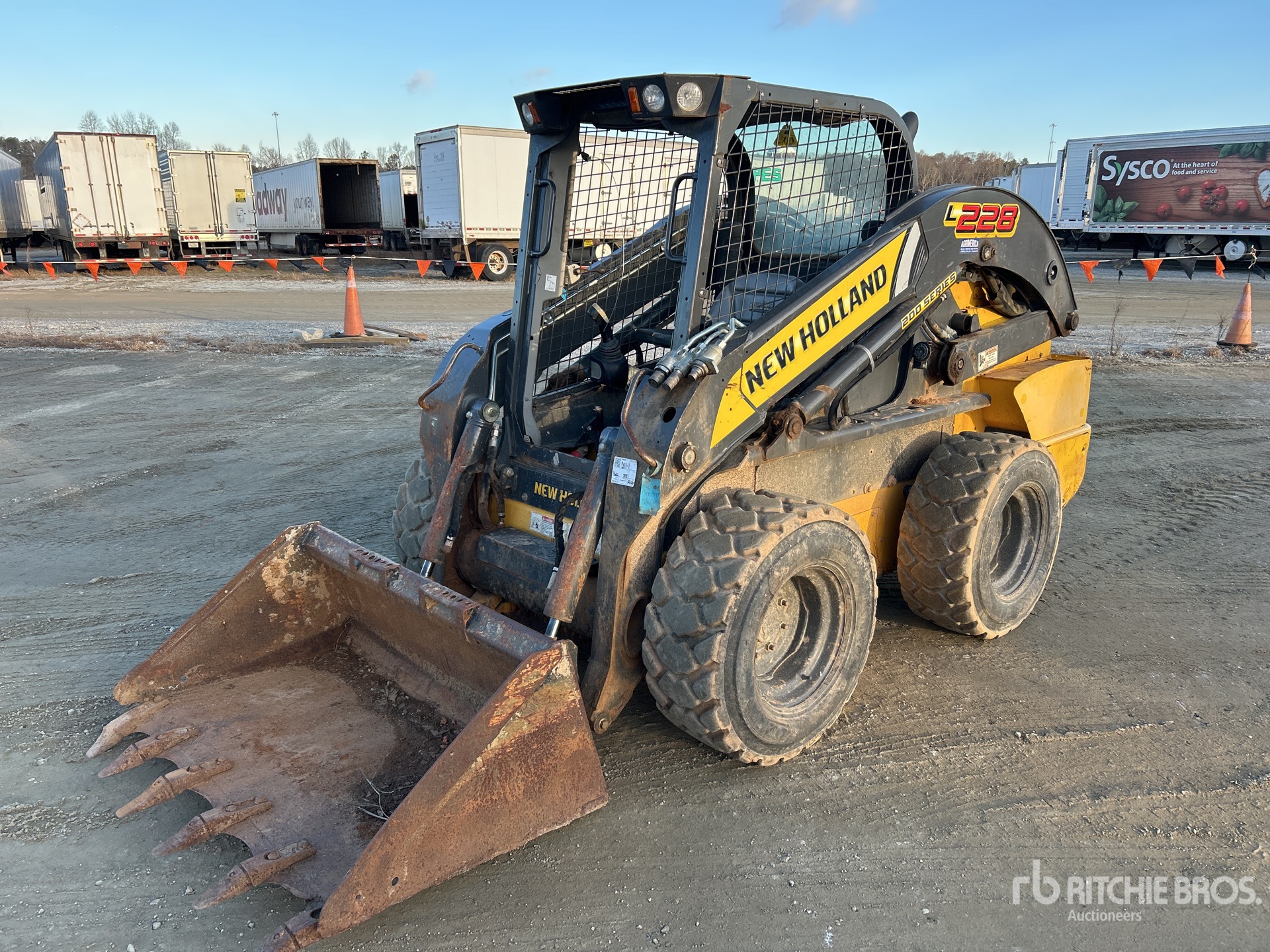 General Appearance with Spin