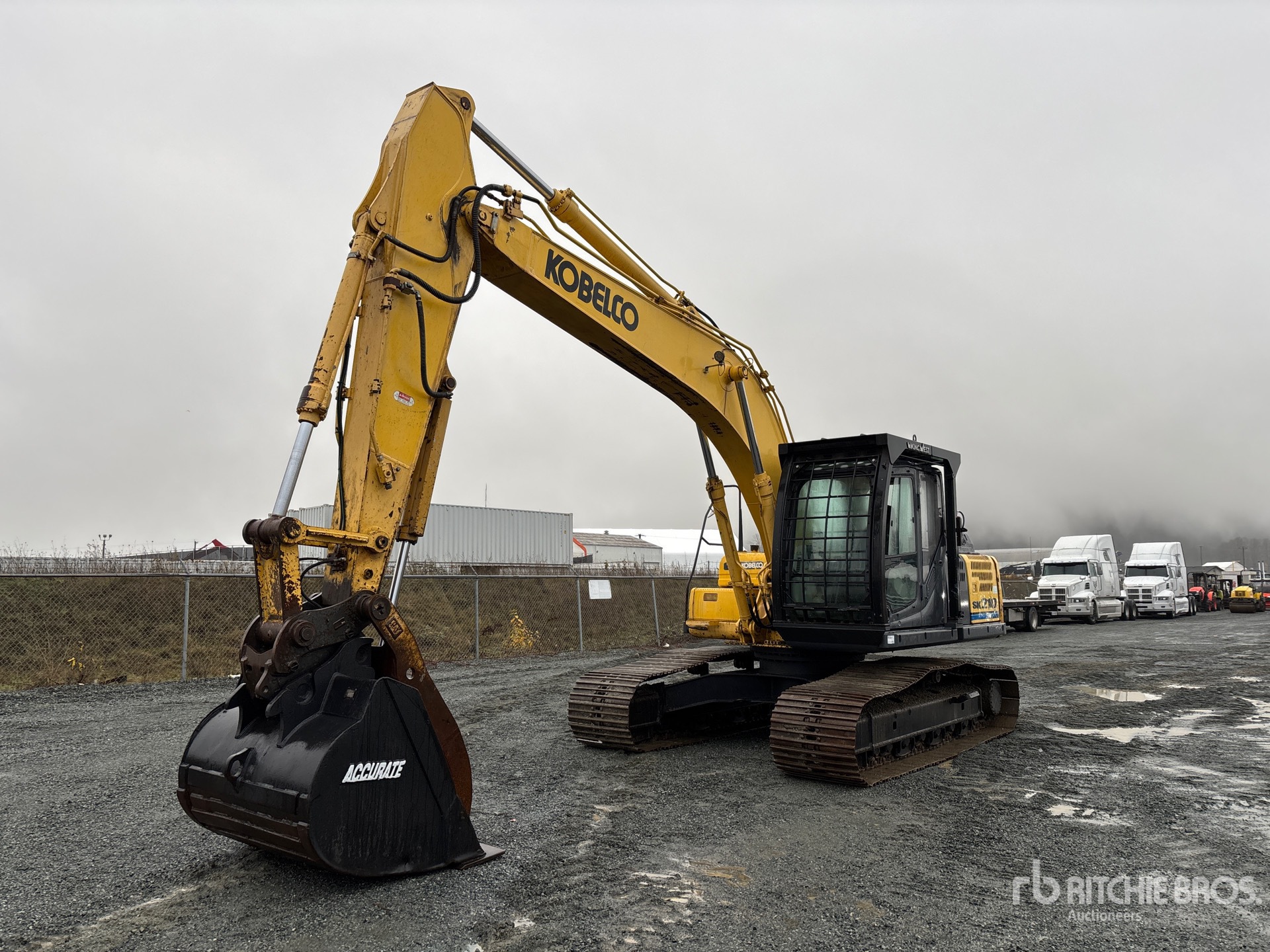 General Appearance with Spin