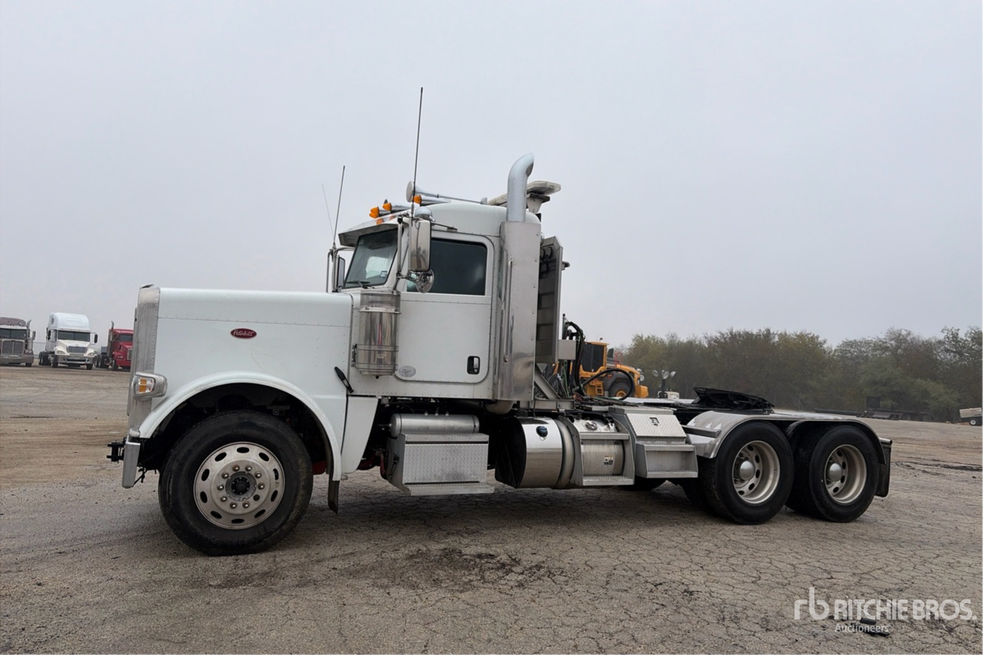 General Appearance with Spin