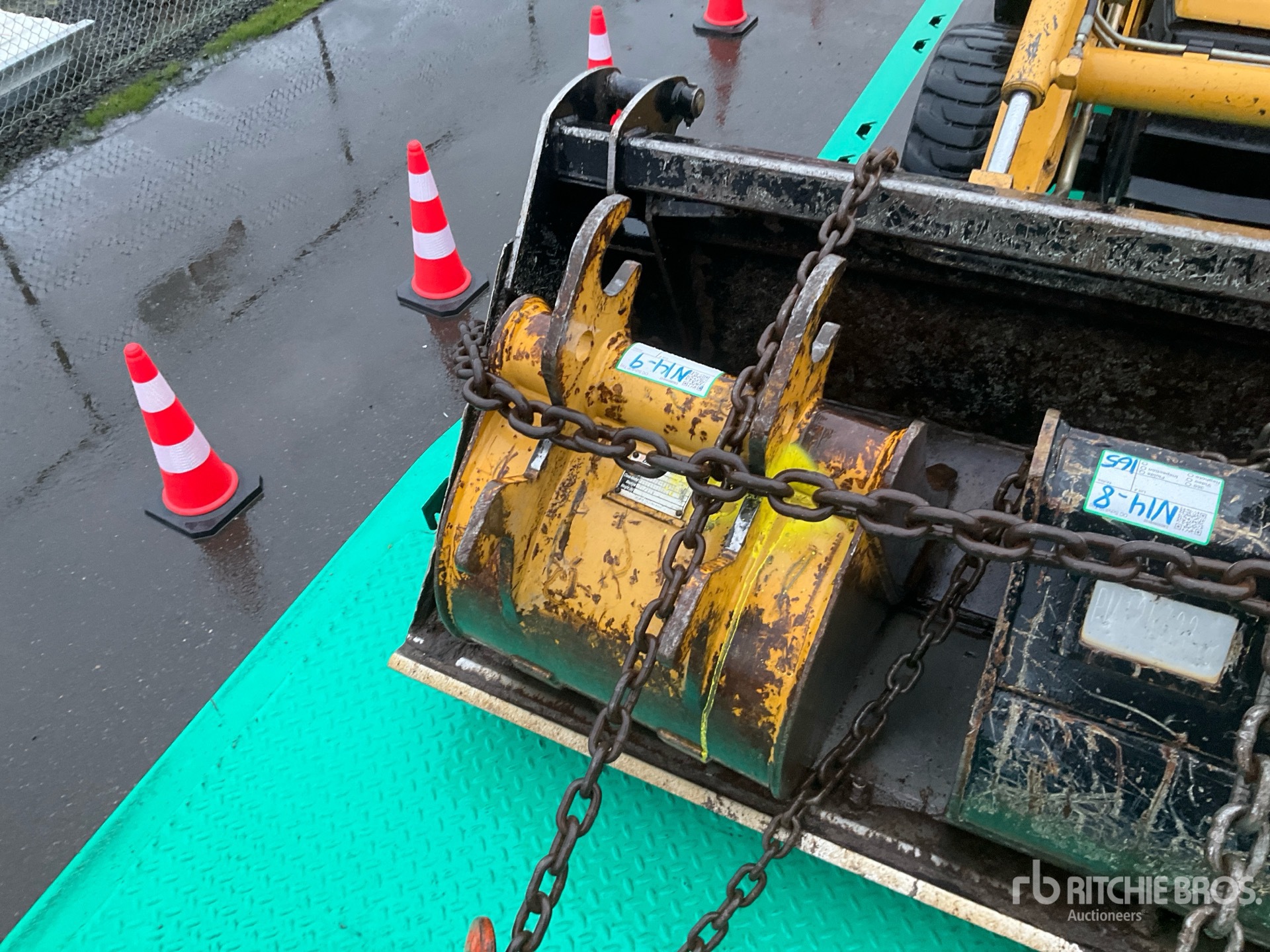 General Appearance with 