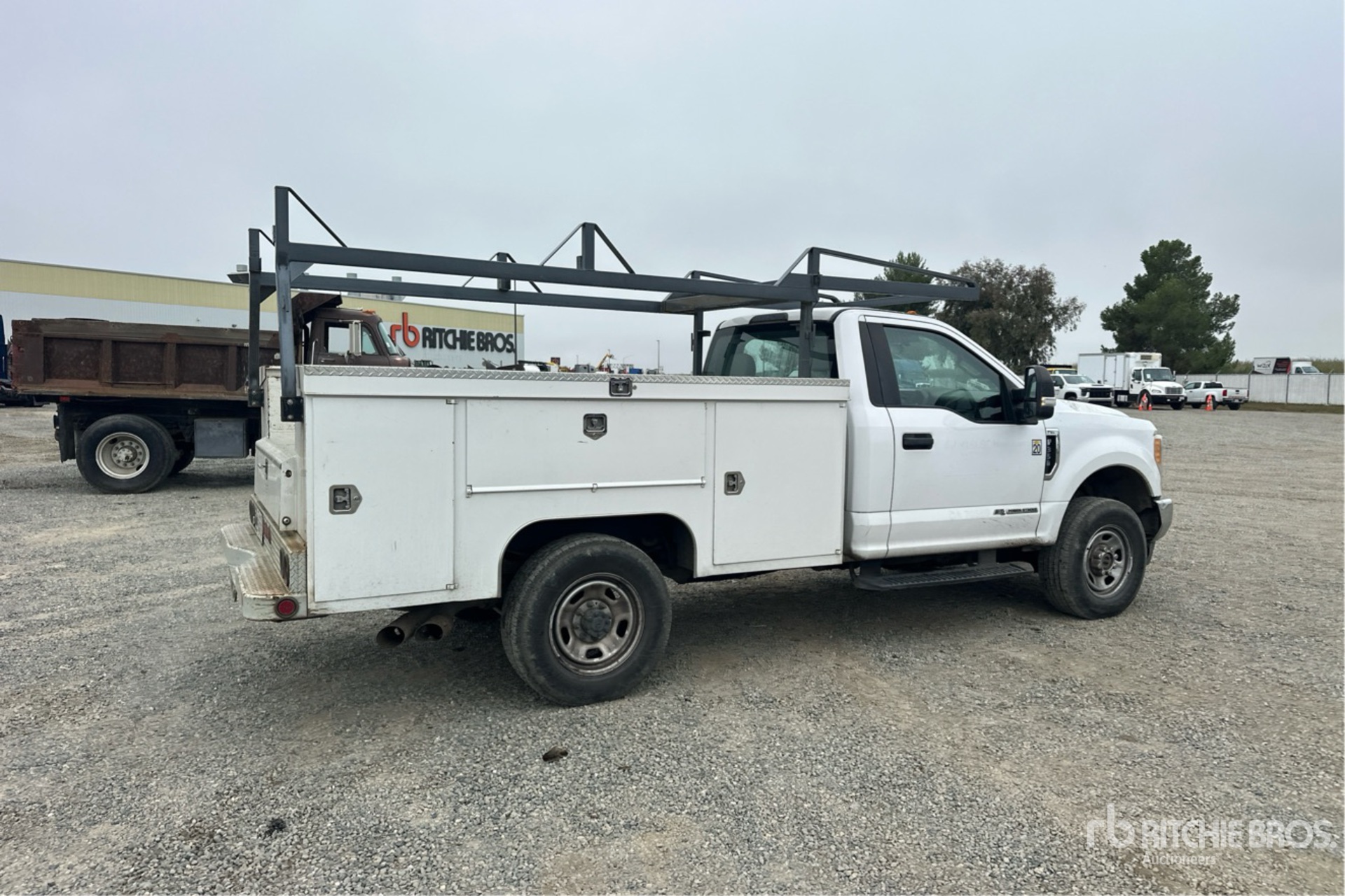 General Appearance with Zdjęcie, prawy dolny róg