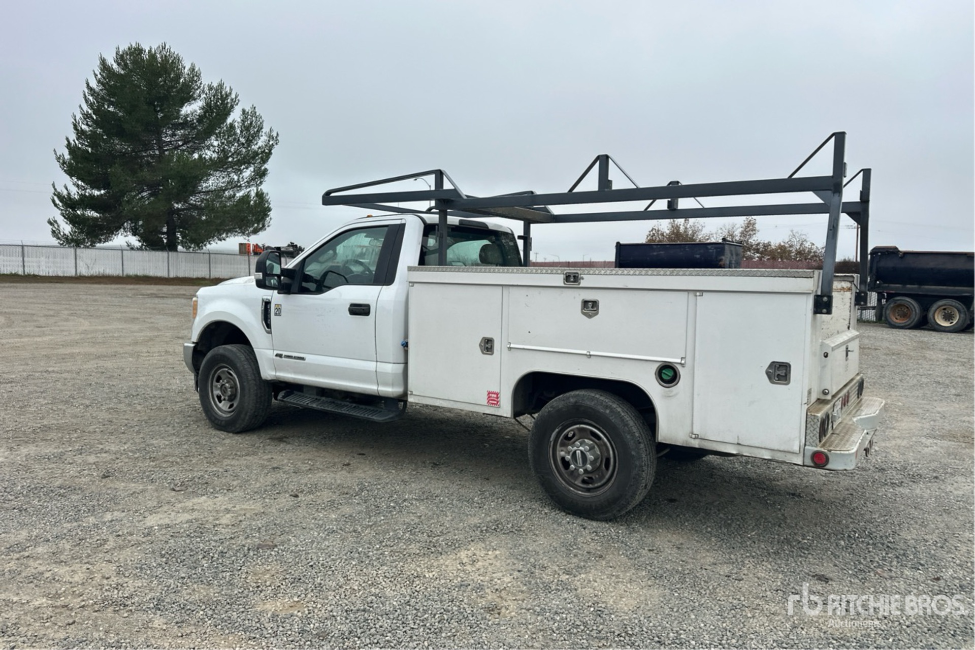 General Appearance with Zdjęcie, lewy dolny róg