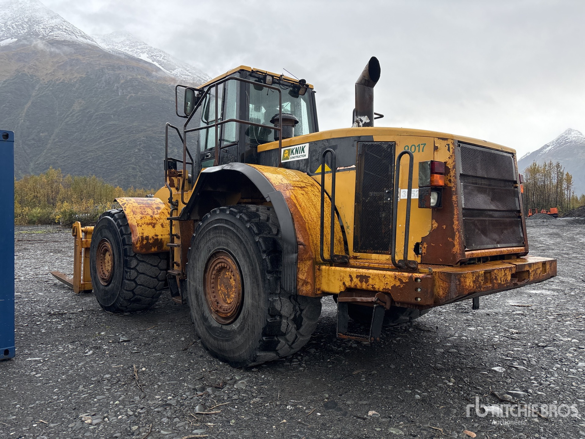 General Appearance with 