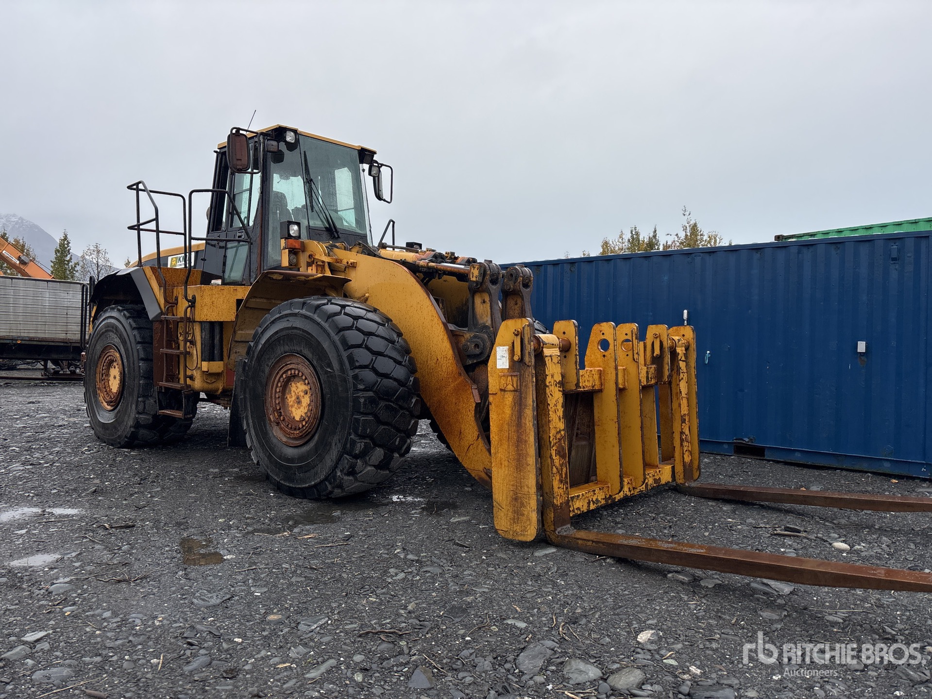 General Appearance with 