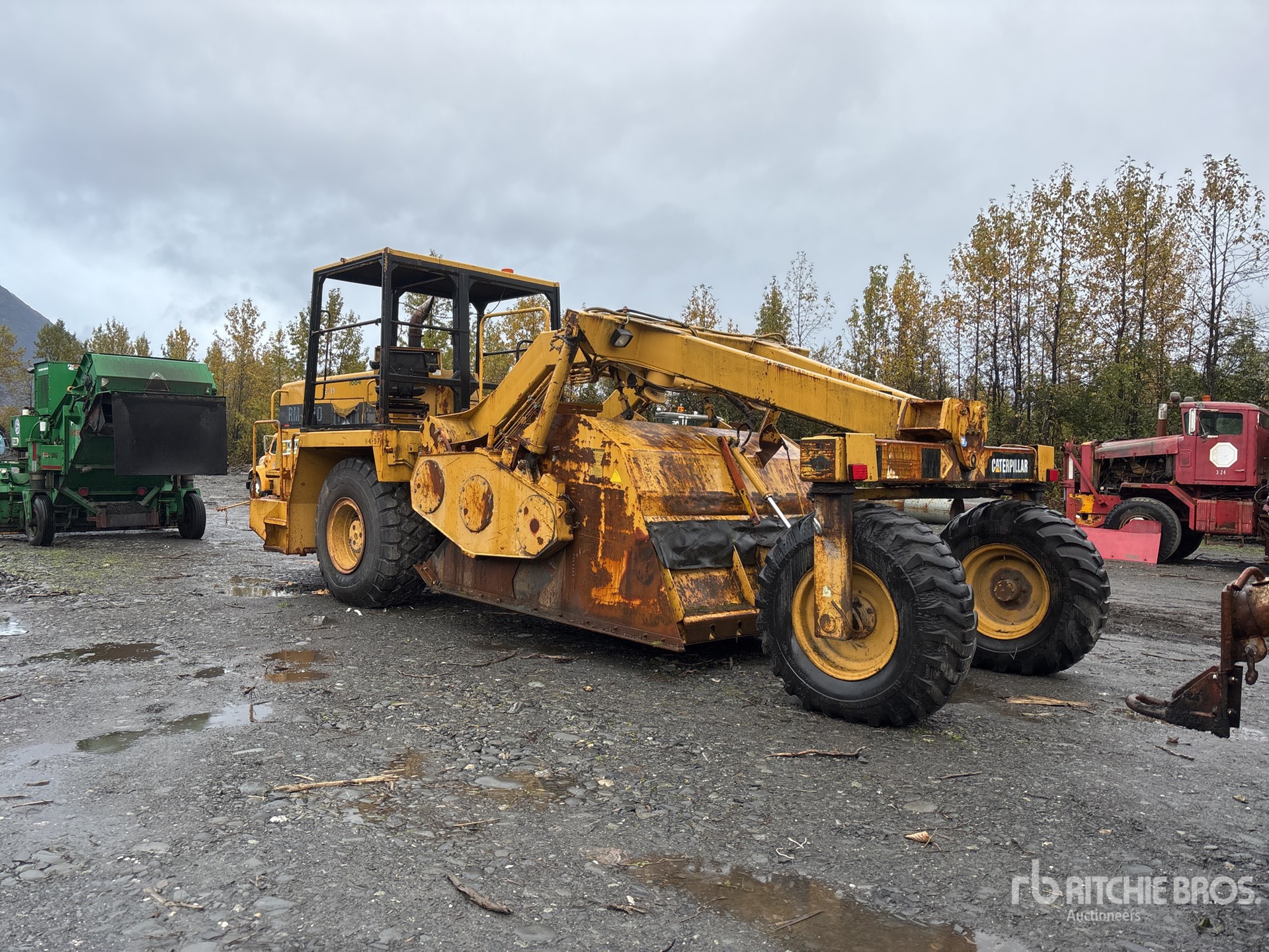 General Appearance with 