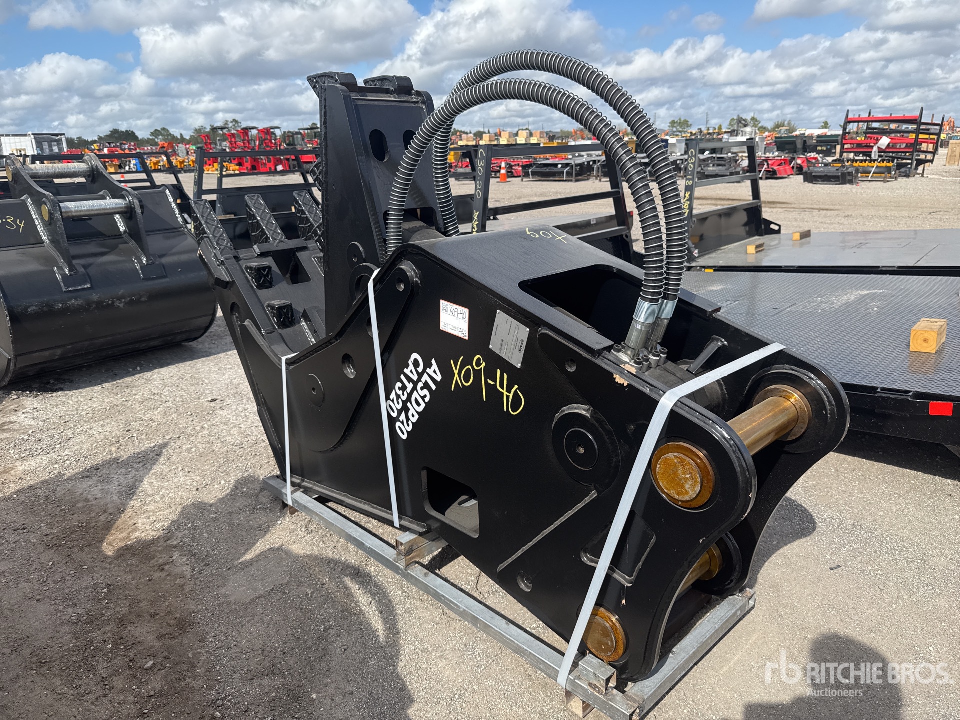 General Appearance with Zdjęcie, lewy dolny róg