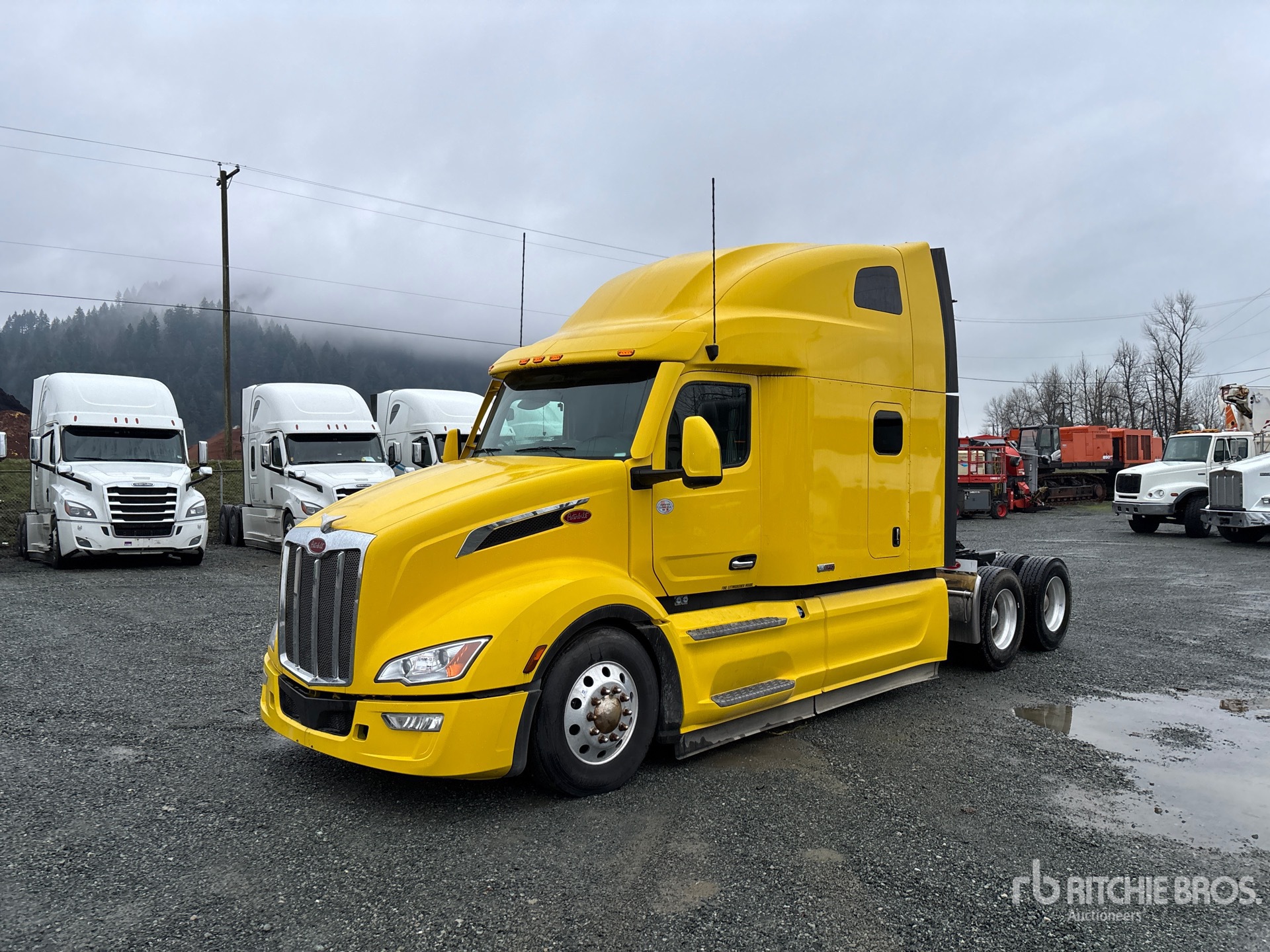 General Appearance with Spin