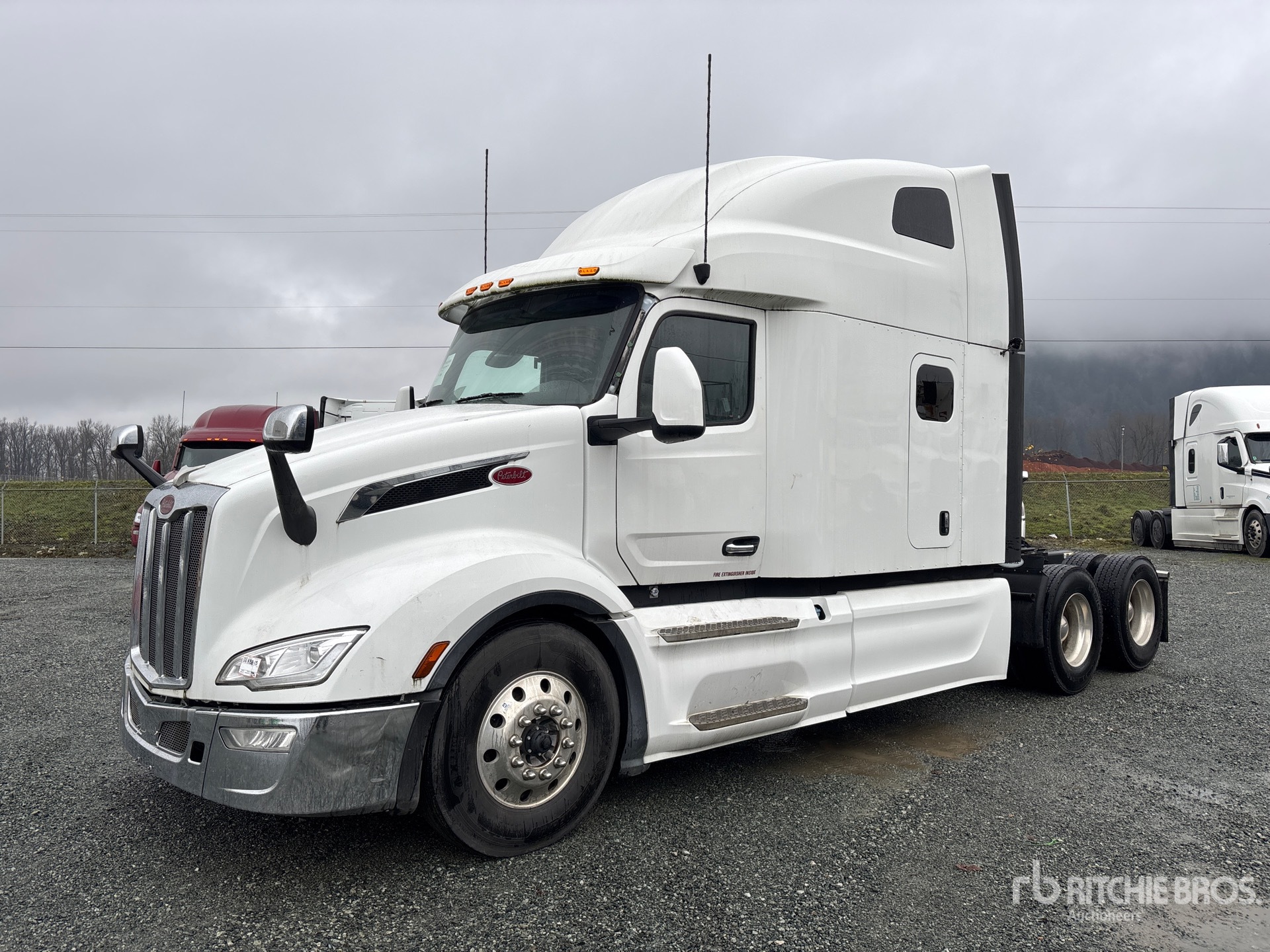 General Appearance with Spin