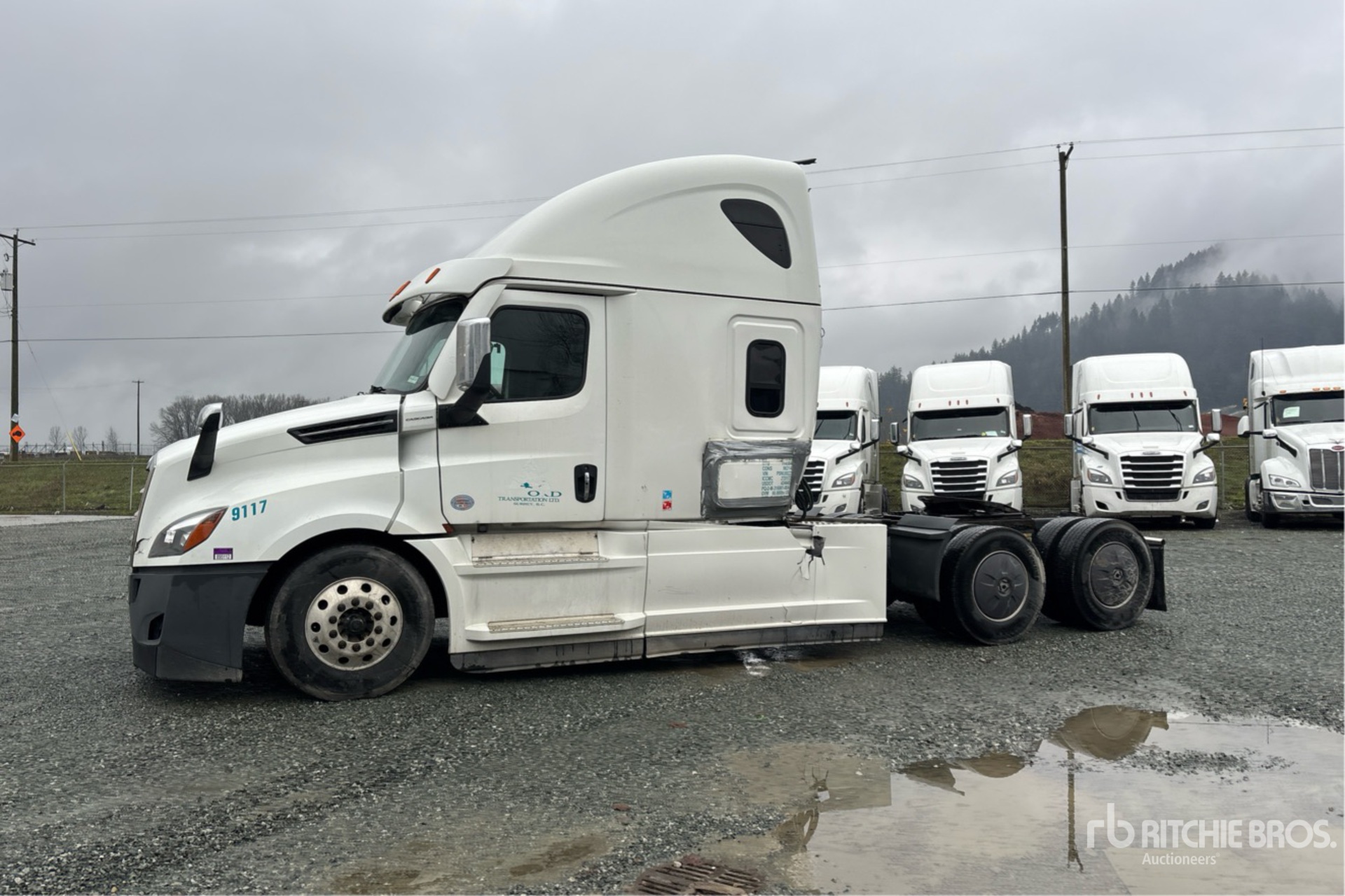 General Appearance with Bild, Ecke vorne links